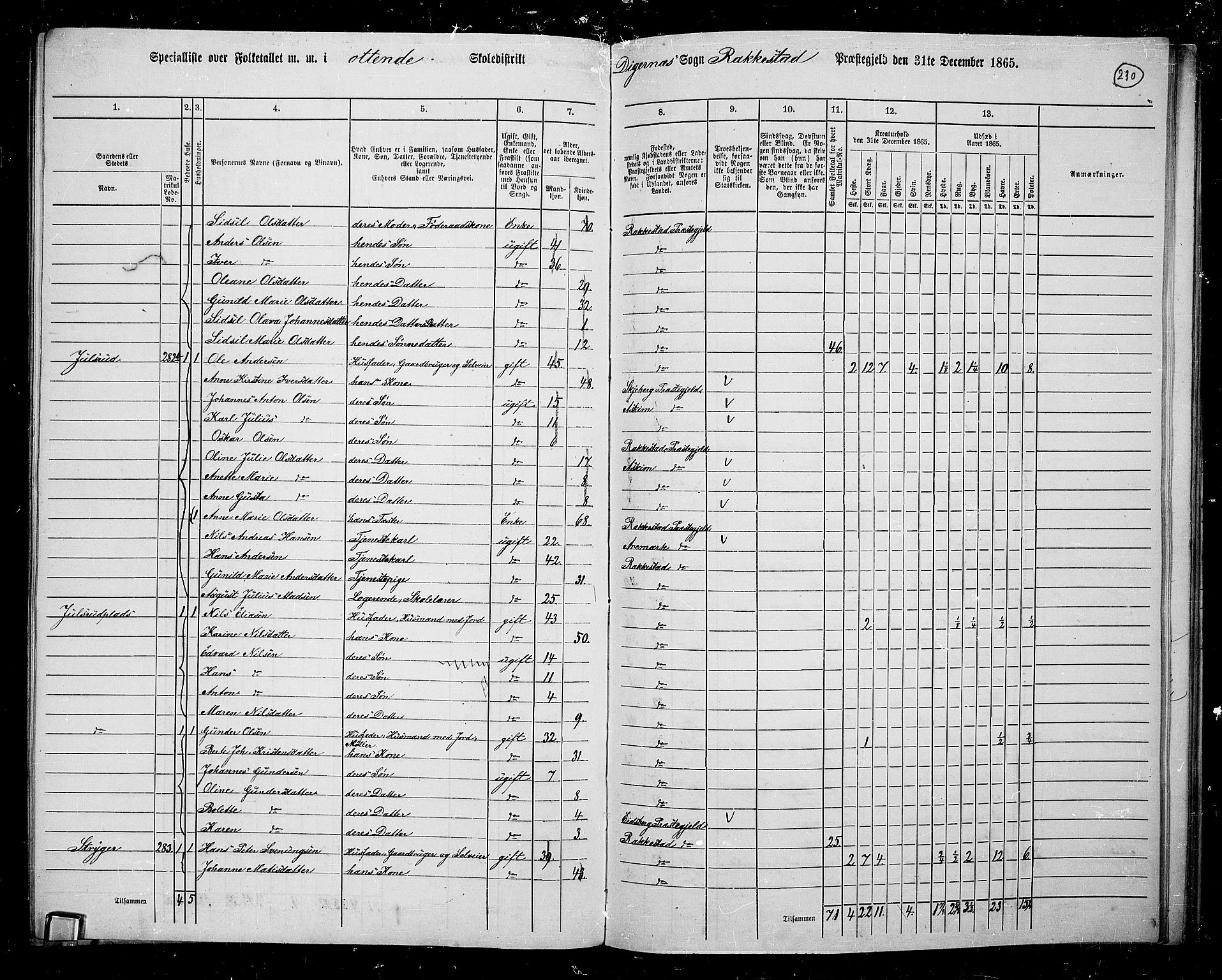 RA, 1865 census for Rakkestad, 1865, p. 221