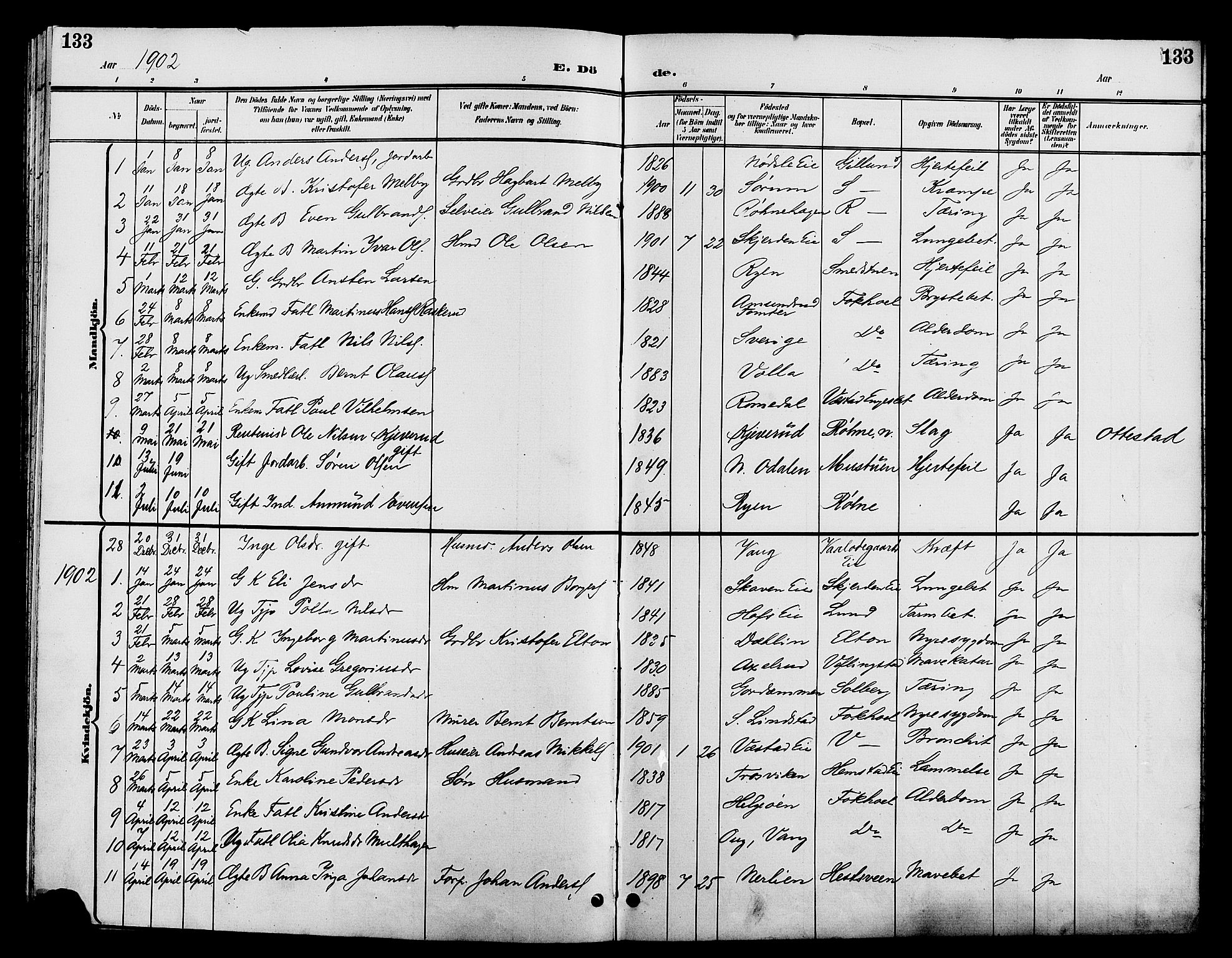 Stange prestekontor, AV/SAH-PREST-002/L/L0012: Parish register (copy) no. 12, 1900-1908, p. 133