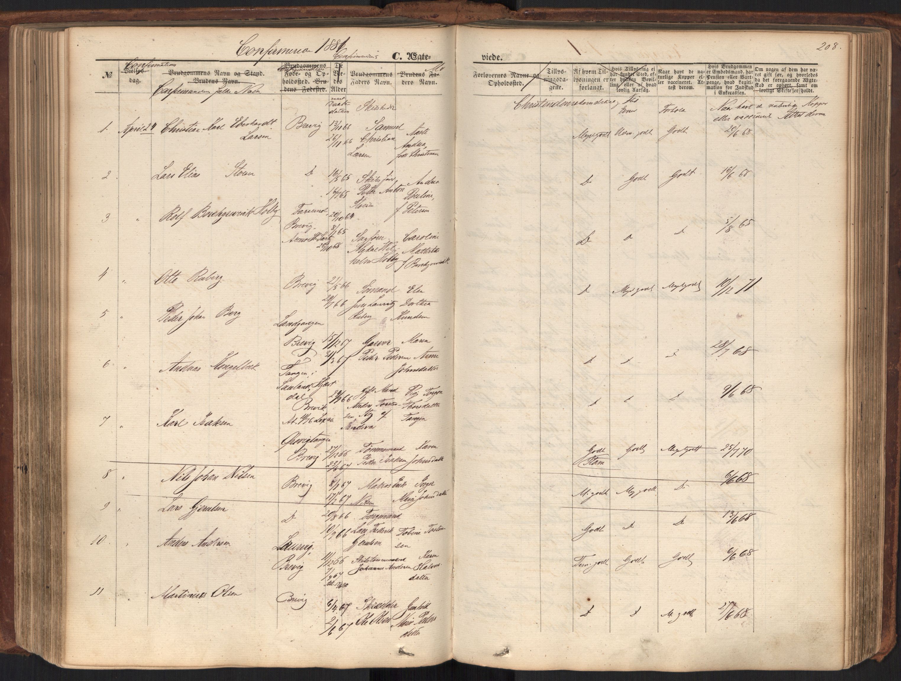 Brevik kirkebøker, AV/SAKO-A-255/F/Fa/L0006: Parish register (official) no. 6, 1866-1881