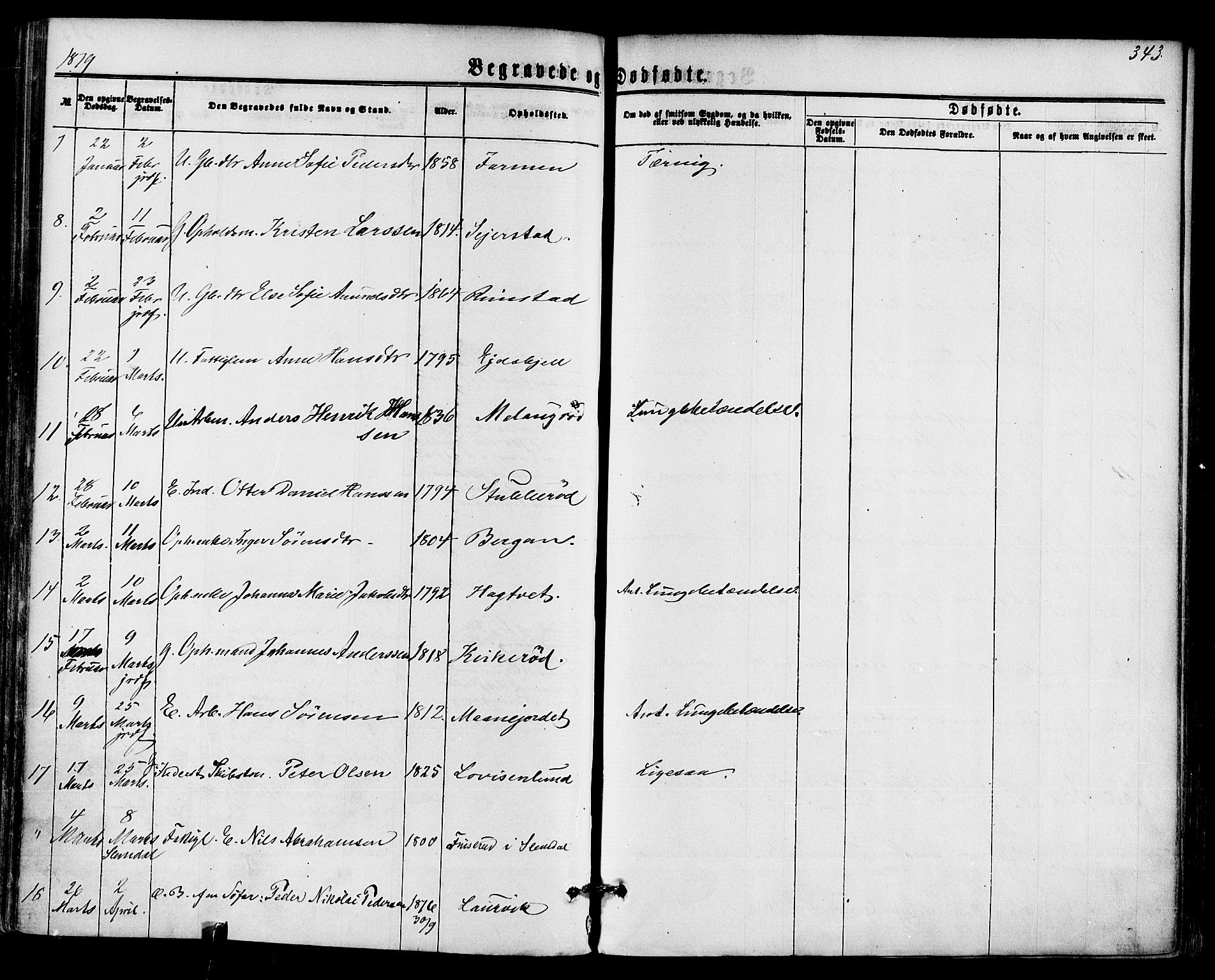 Hedrum kirkebøker, AV/SAKO-A-344/F/Fa/L0008: Parish register (official) no. I 8, 1869-1880, p. 343