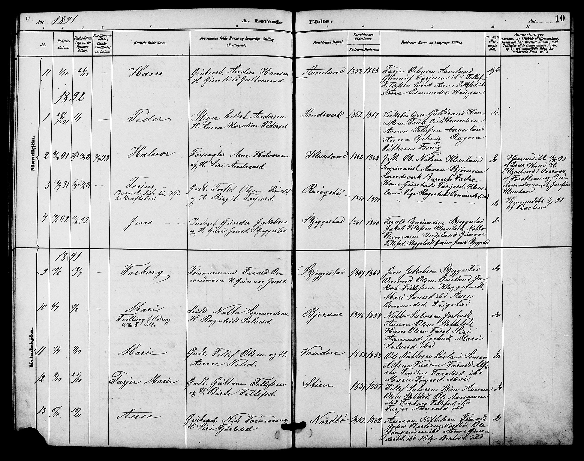 Evje sokneprestkontor, AV/SAK-1111-0008/F/Fb/Fba/L0003: Parish register (copy) no. B 3, 1888-1903, p. 10