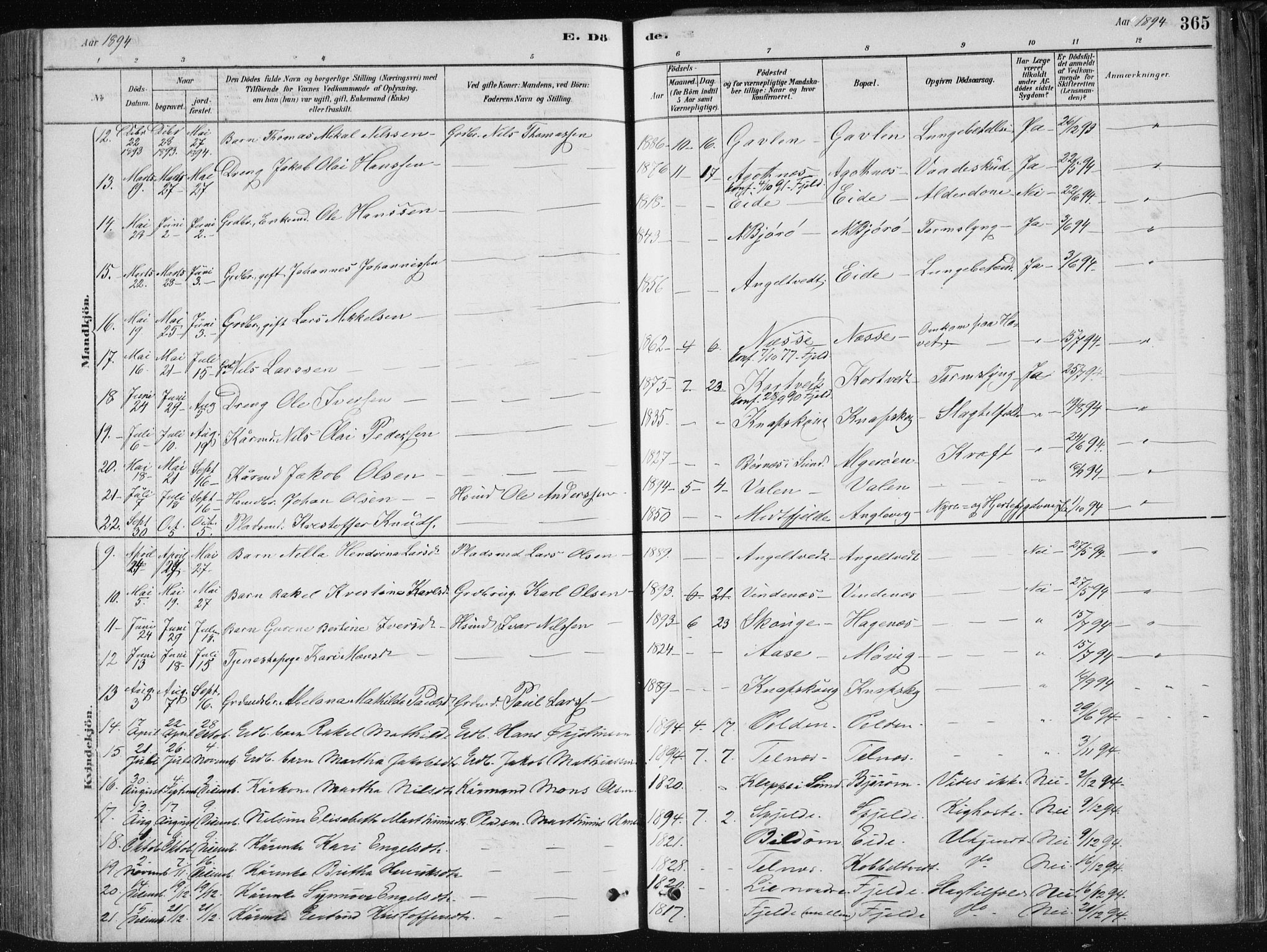 Fjell sokneprestembete, SAB/A-75301/H/Haa: Parish register (official) no. A  8, 1878-1898, p. 365
