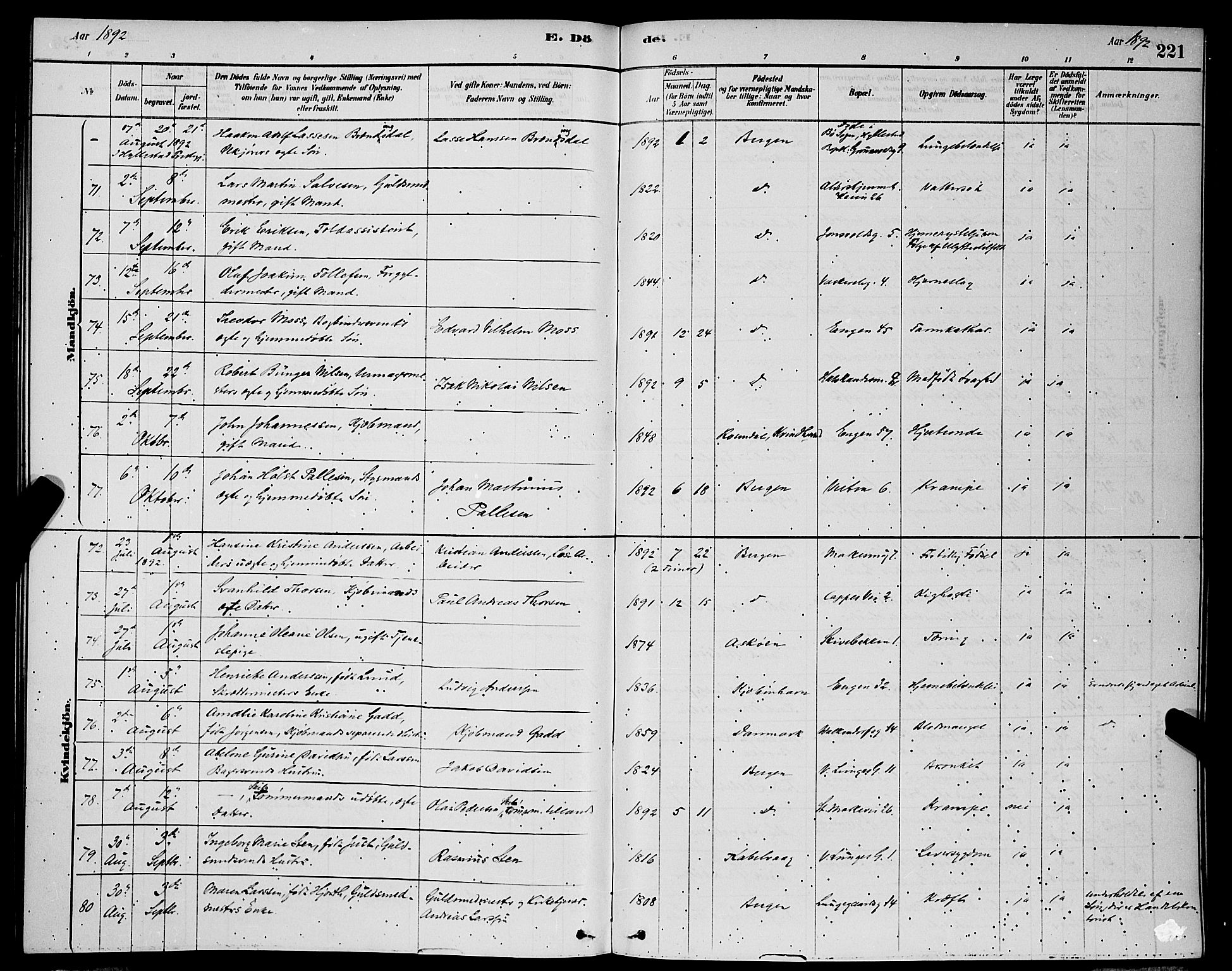 Domkirken sokneprestembete, AV/SAB-A-74801/H/Hab/L0041: Parish register (copy) no. E 5, 1878-1900, p. 221