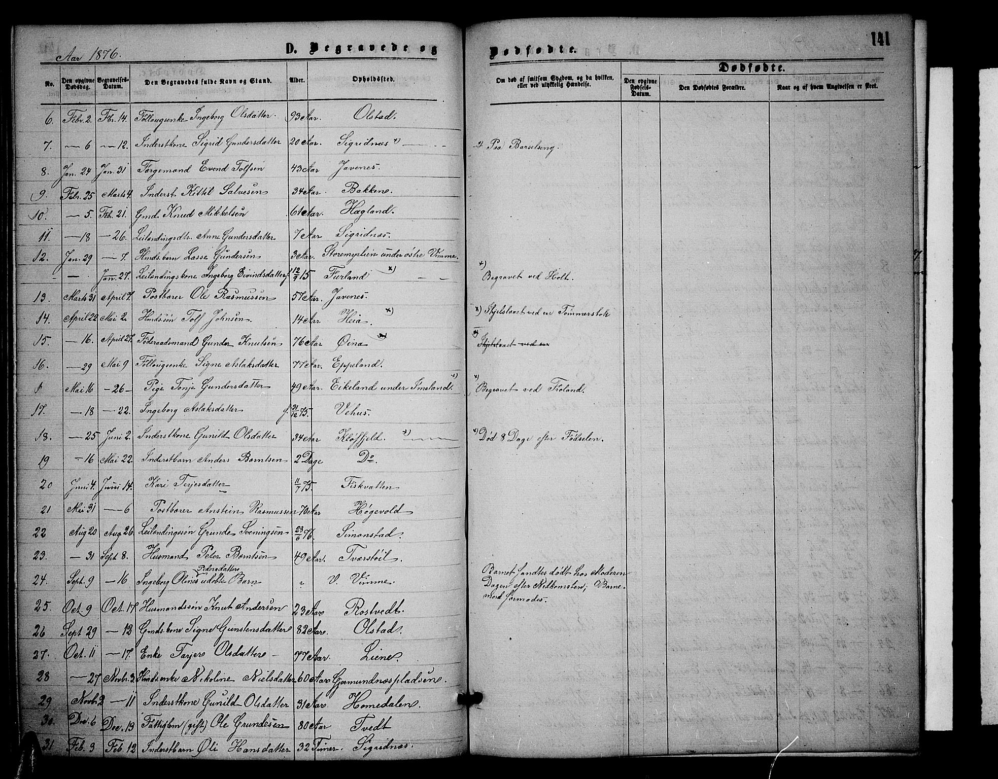 Åmli sokneprestkontor, SAK/1111-0050/F/Fb/Fbc/L0003: Parish register (copy) no. B 3, 1868-1888, p. 141