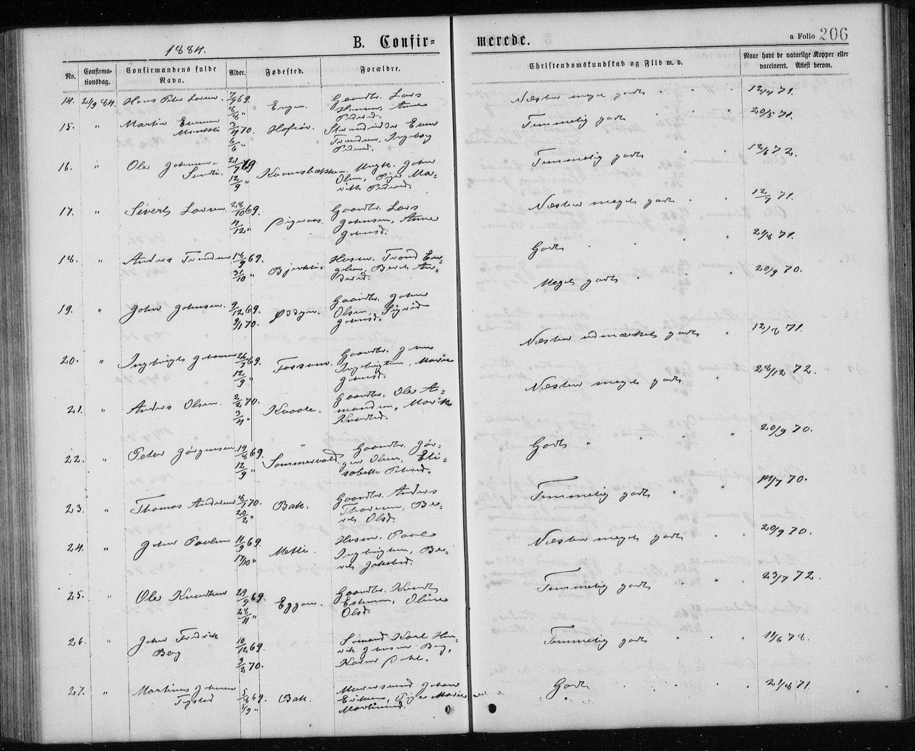 Ministerialprotokoller, klokkerbøker og fødselsregistre - Sør-Trøndelag, SAT/A-1456/668/L0817: Parish register (copy) no. 668C06, 1873-1884, p. 206