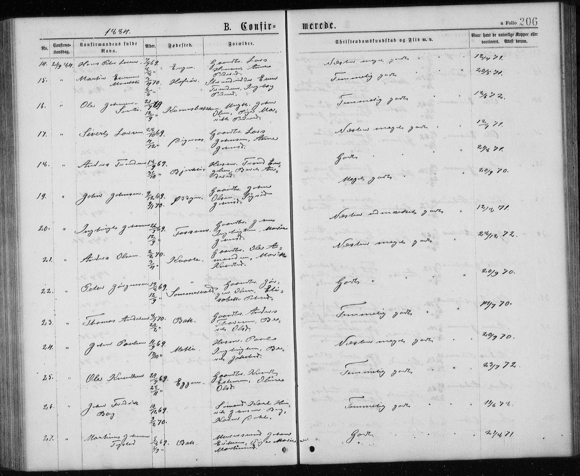 Ministerialprotokoller, klokkerbøker og fødselsregistre - Sør-Trøndelag, AV/SAT-A-1456/668/L0817: Parish register (copy) no. 668C06, 1873-1884, p. 206