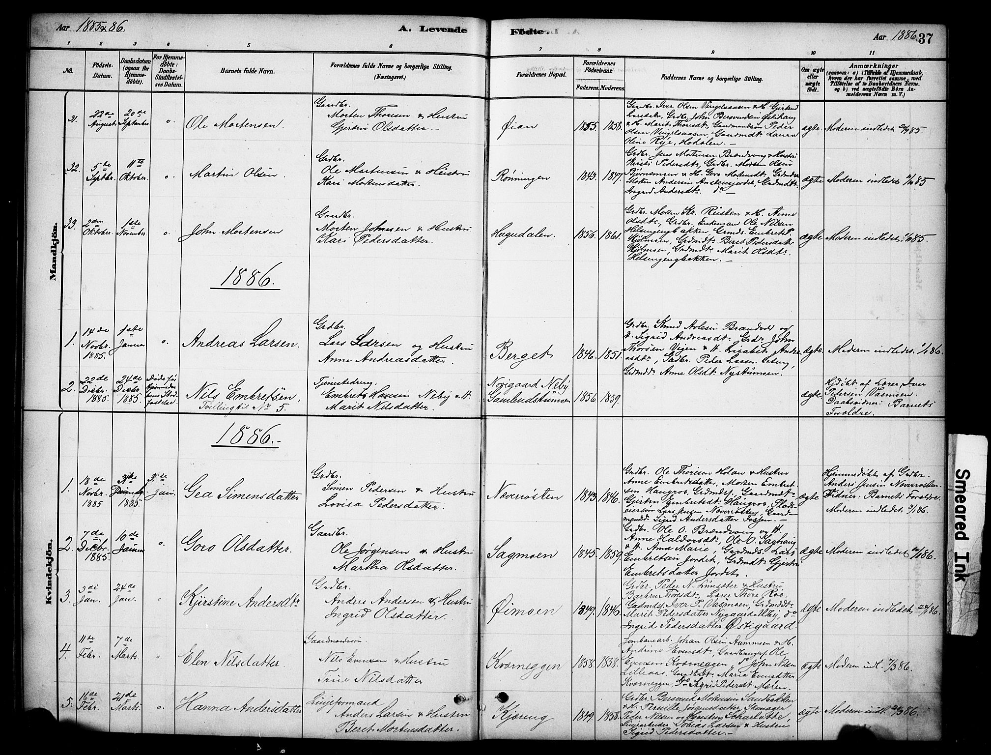 Tynset prestekontor, SAH/PREST-058/H/Ha/Hab/L0006: Parish register (copy) no. 6, 1880-1899, p. 37