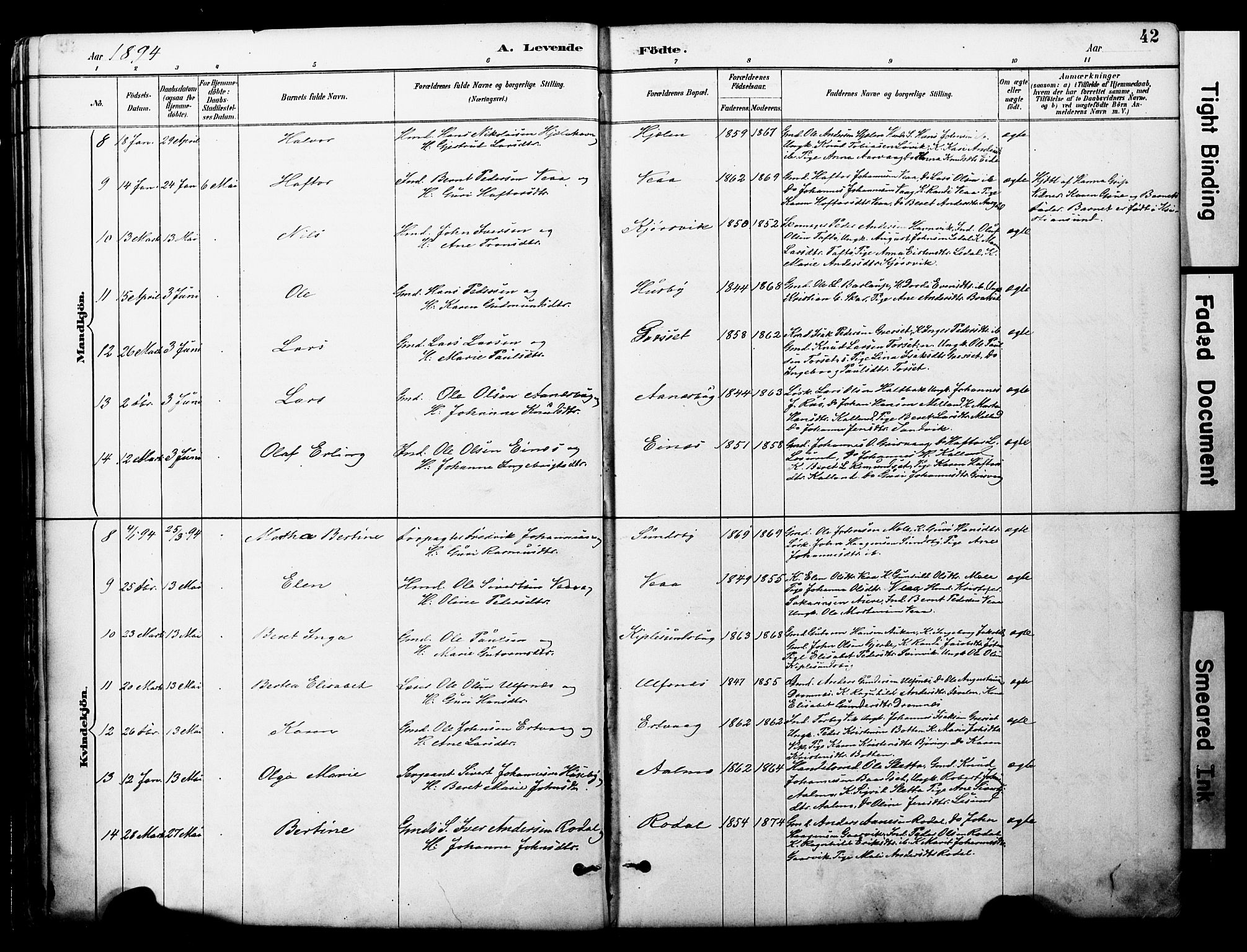 Ministerialprotokoller, klokkerbøker og fødselsregistre - Møre og Romsdal, AV/SAT-A-1454/578/L0907: Parish register (official) no. 578A06, 1887-1904, p. 42