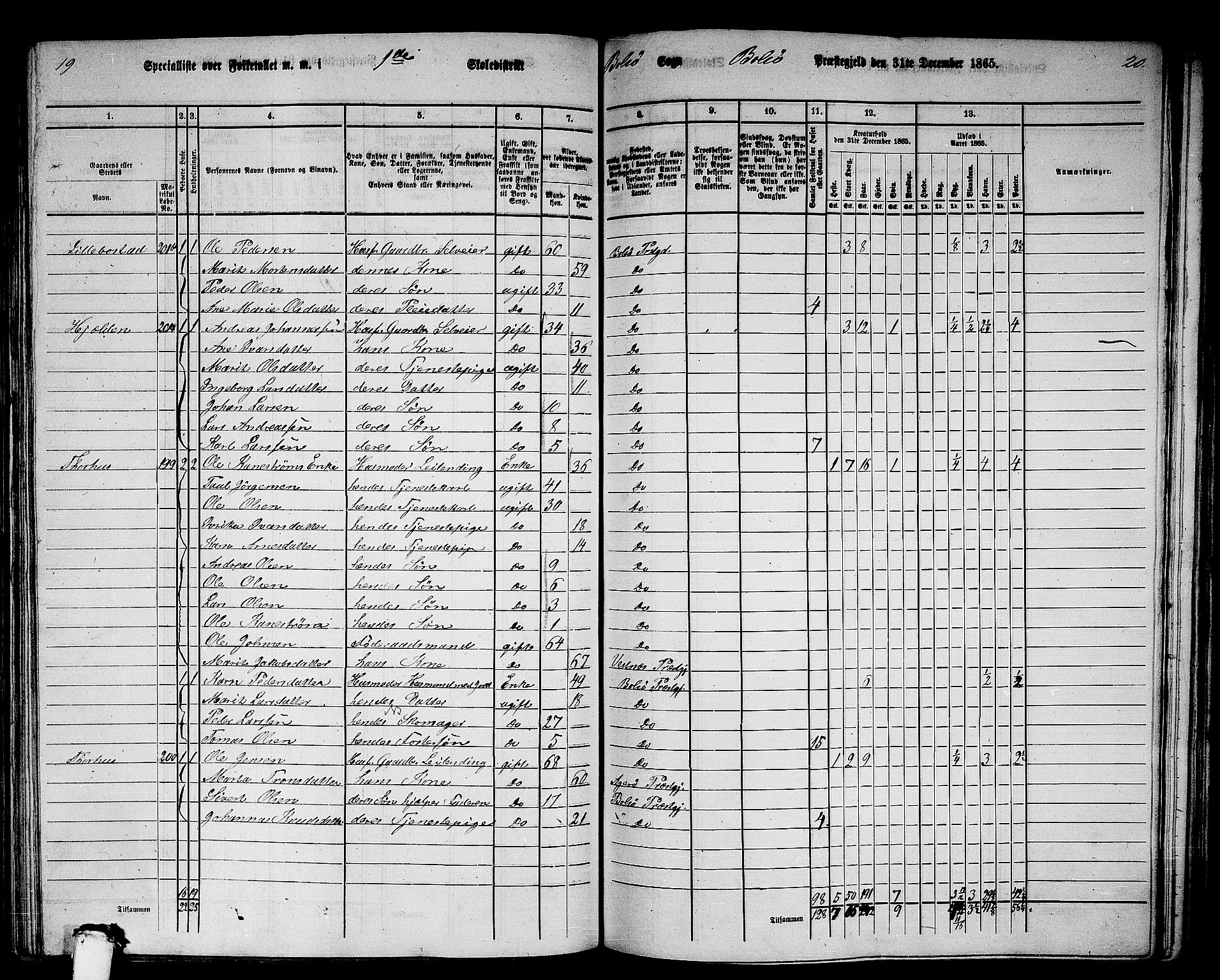 RA, 1865 census for Bolsøy, 1865, p. 30