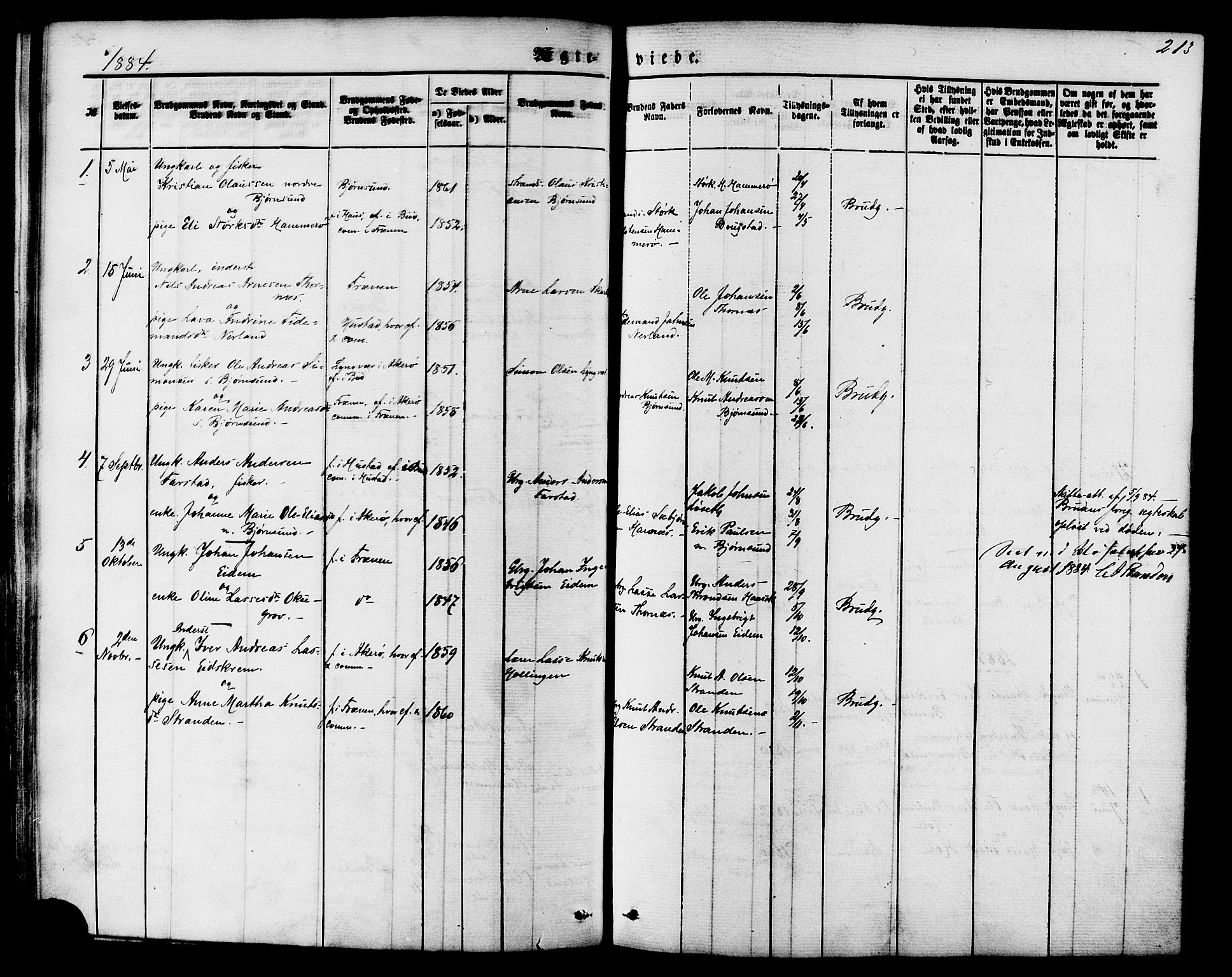 Ministerialprotokoller, klokkerbøker og fødselsregistre - Møre og Romsdal, SAT/A-1454/565/L0749: Parish register (official) no. 565A03, 1871-1886, p. 213