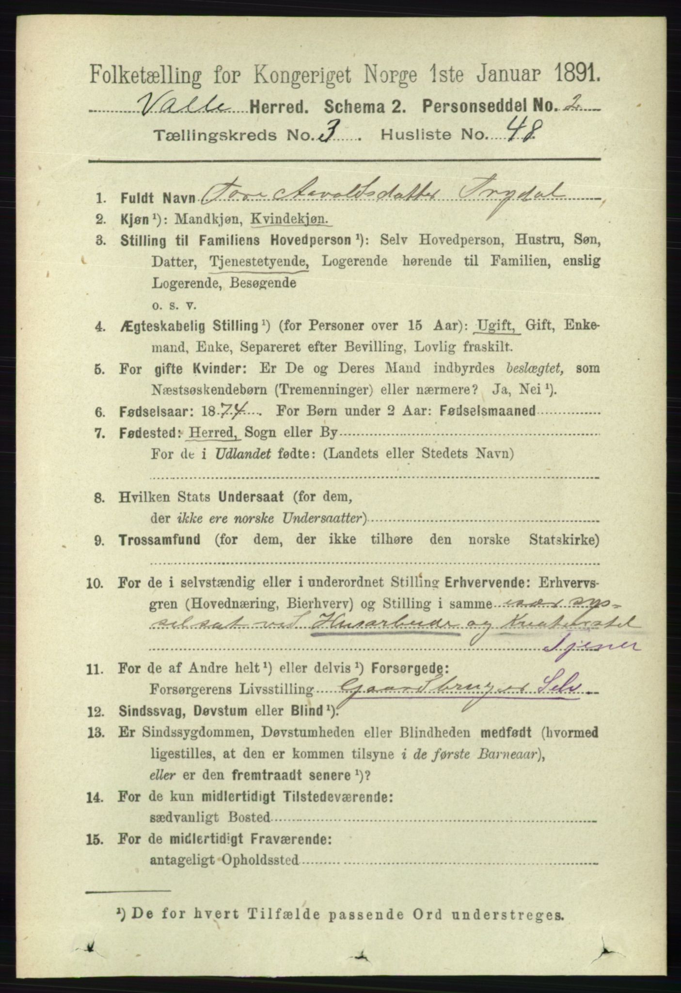 RA, 1891 census for 0940 Valle, 1891, p. 942