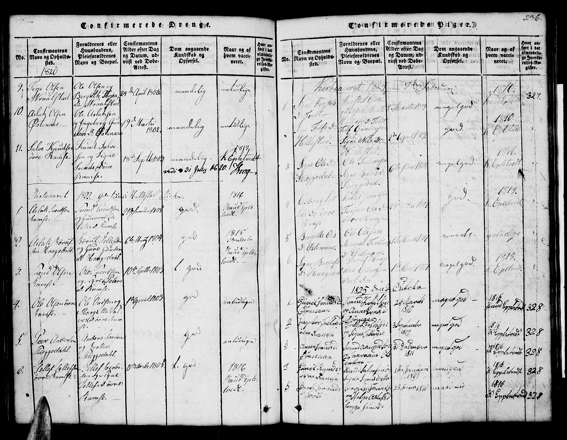 Åmli sokneprestkontor, AV/SAK-1111-0050/F/Fb/Fbb/L0001: Parish register (copy) no. B 1, 1816-1889, p. 236