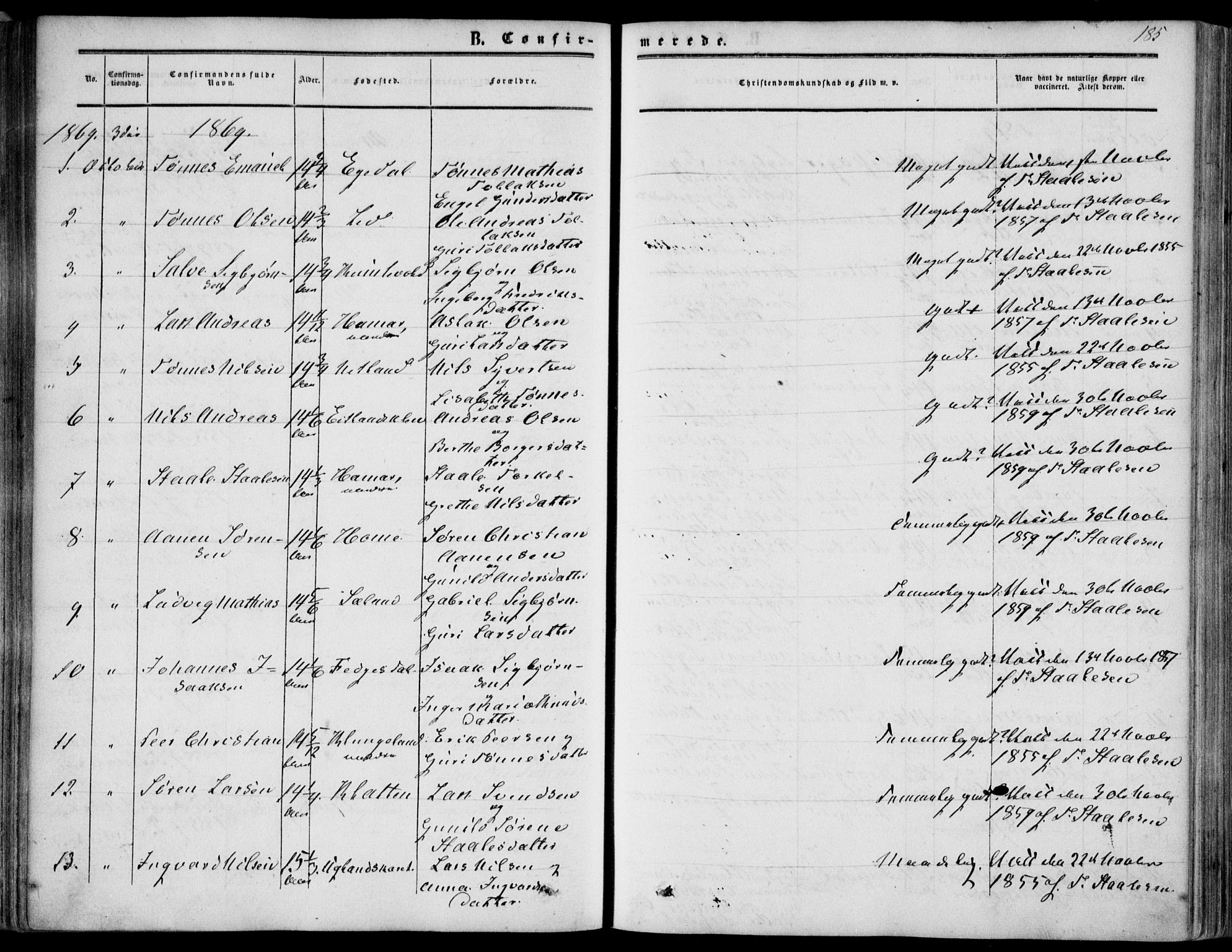 Bakke sokneprestkontor, SAK/1111-0002/F/Fa/Fab/L0002: Parish register (official) no. A 2, 1855-1884, p. 185