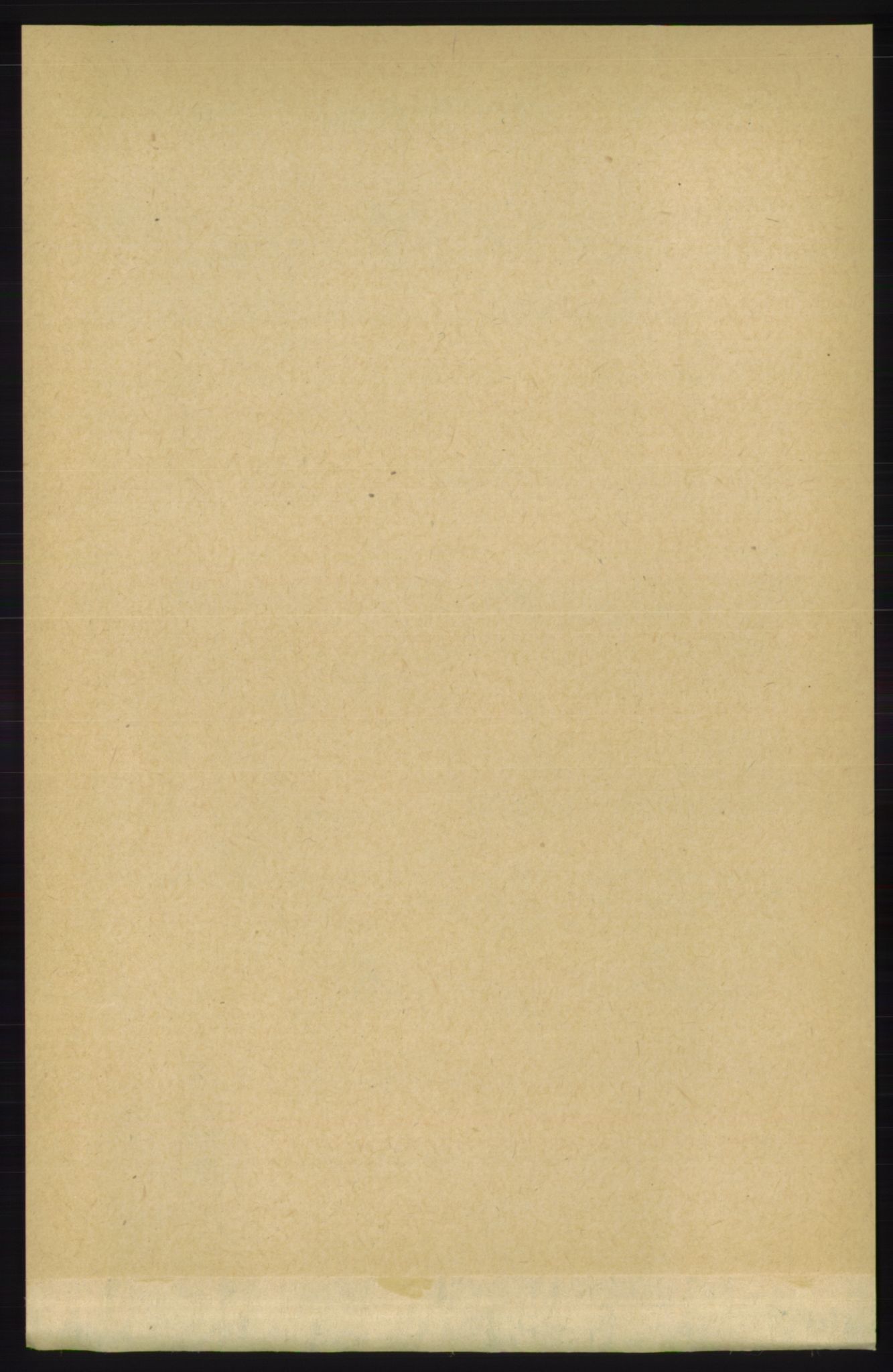 RA, 1891 census for 1154 Skjold, 1891, p. 767