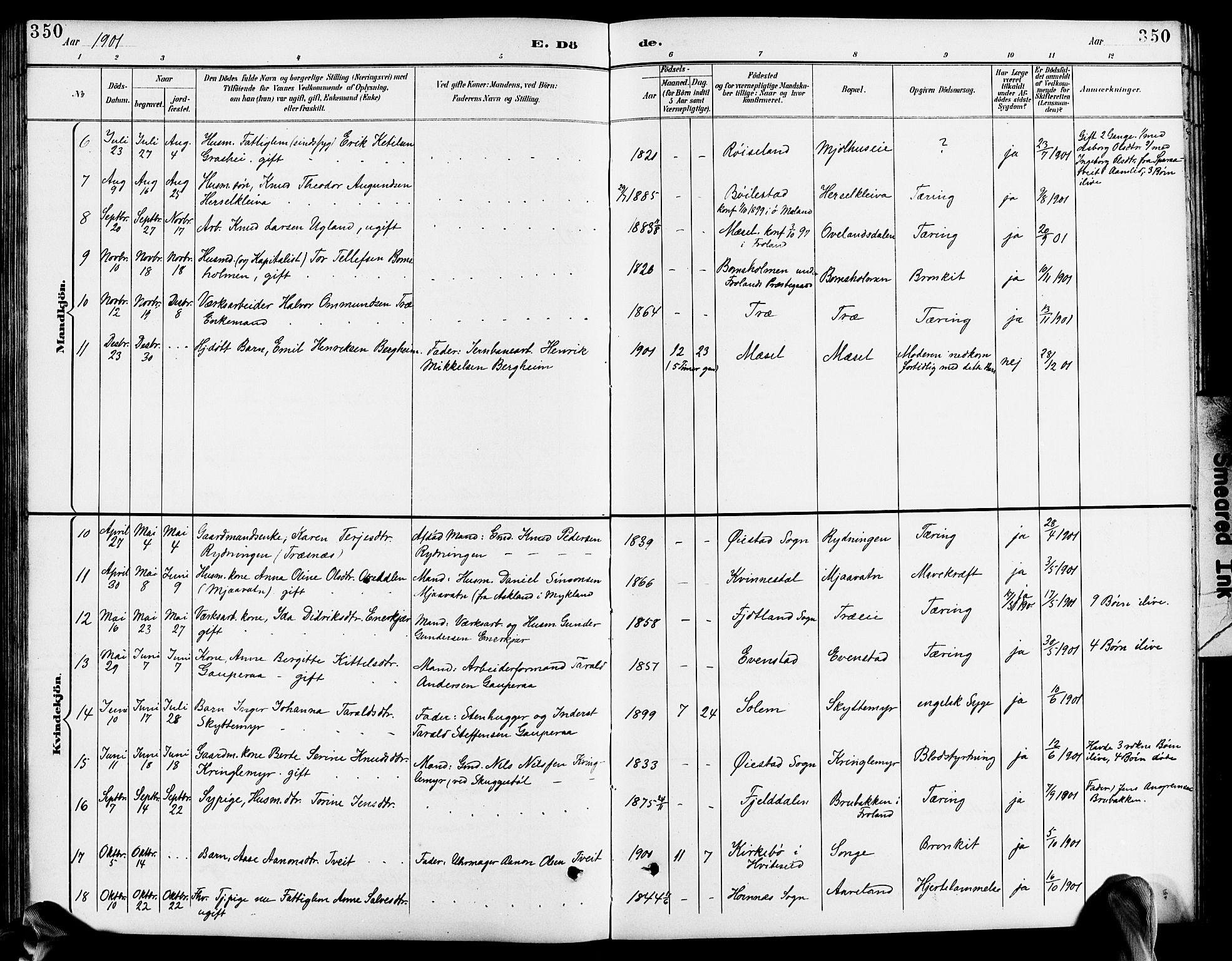 Froland sokneprestkontor, SAK/1111-0013/F/Fb/L0010: Parish register (copy) no. B 10, 1893-1920, p. 350
