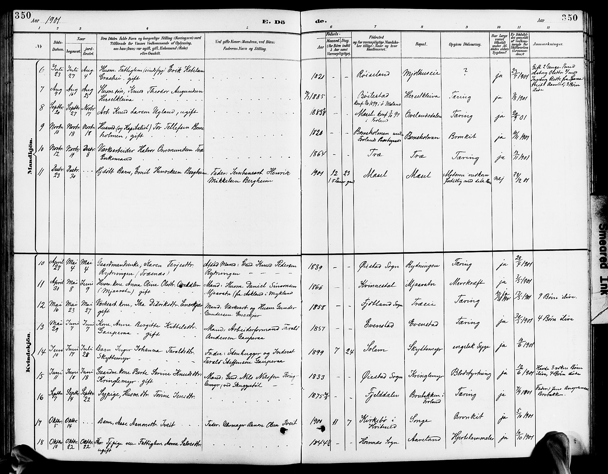 Froland sokneprestkontor, AV/SAK-1111-0013/F/Fb/L0010: Parish register (copy) no. B 10, 1893-1920, p. 350