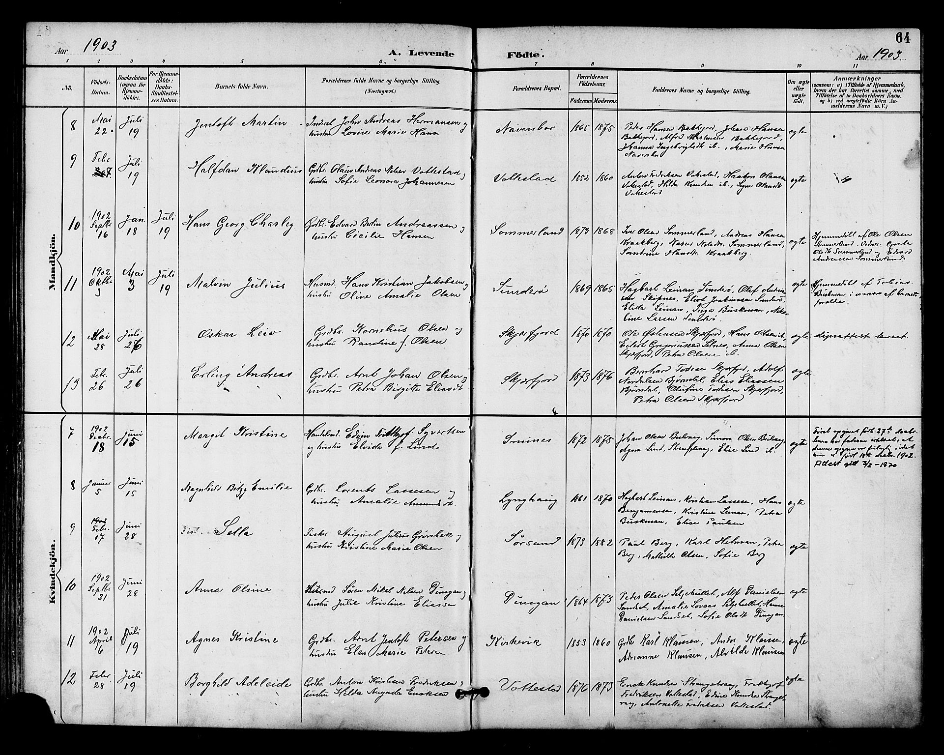 Ministerialprotokoller, klokkerbøker og fødselsregistre - Nordland, SAT/A-1459/893/L1338: Parish register (official) no. 893A10, 1894-1903, p. 64