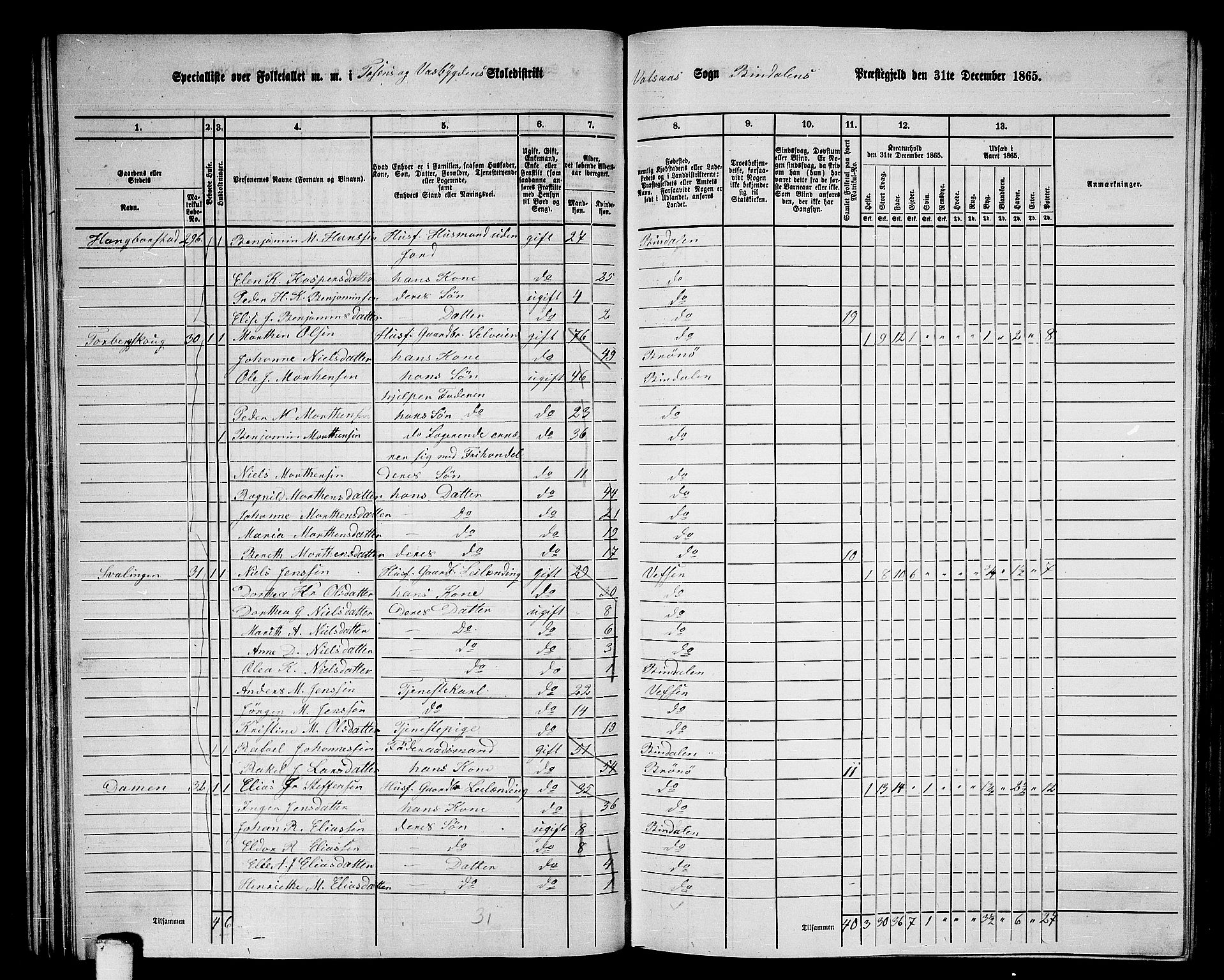 RA, 1865 census for Bindal, 1865, p. 38