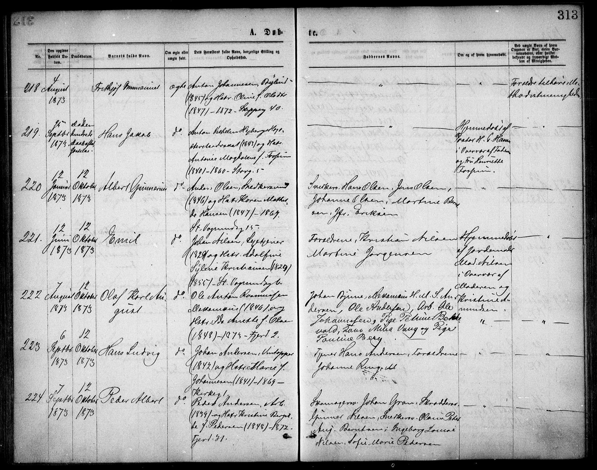 Oslo domkirke Kirkebøker, SAO/A-10752/F/Fa/L0017: Parish register (official) no. 17, 1869-1878, p. 313