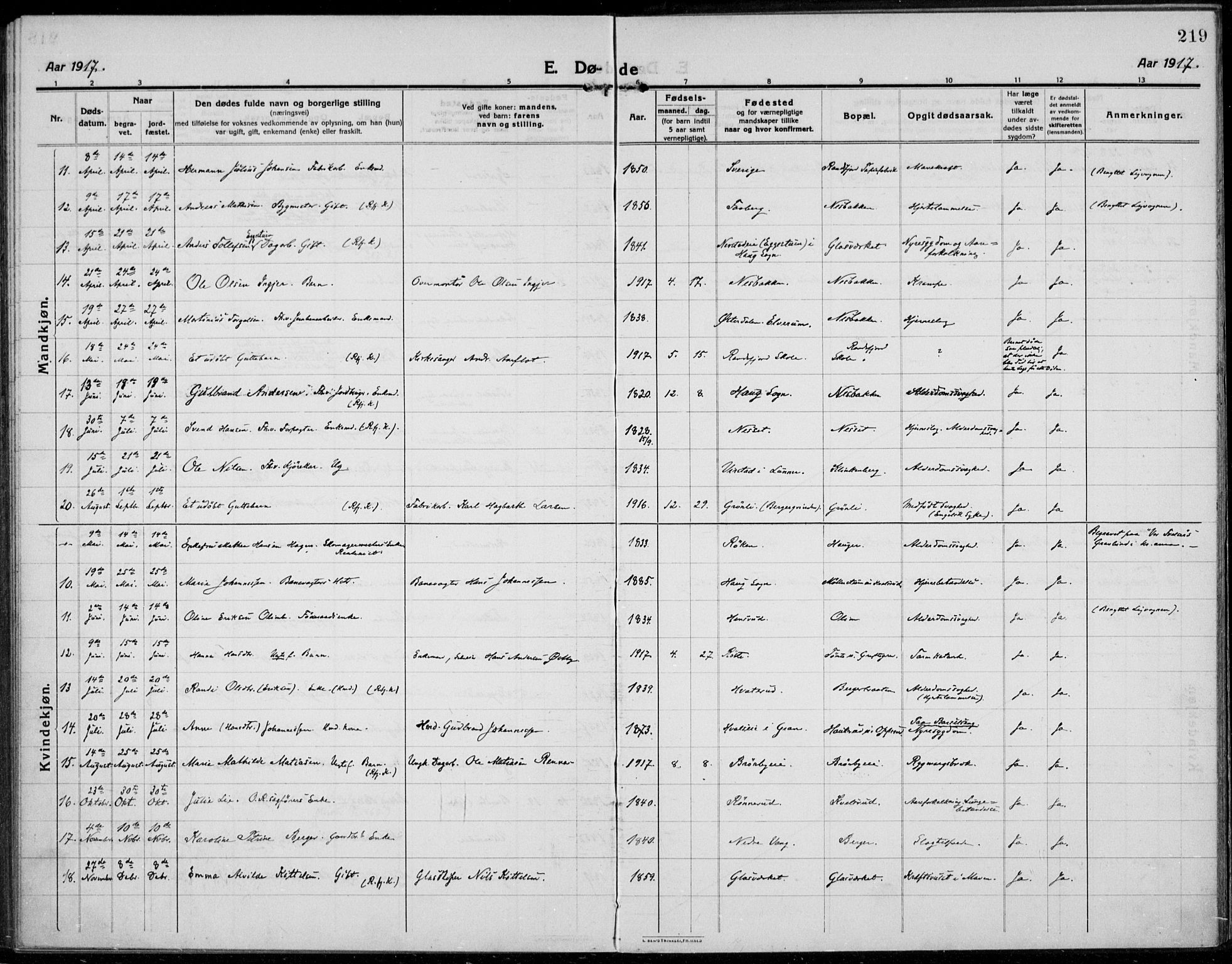 Jevnaker prestekontor, SAH/PREST-116/H/Ha/Haa/L0012: Parish register (official) no. 12, 1914-1924, p. 219