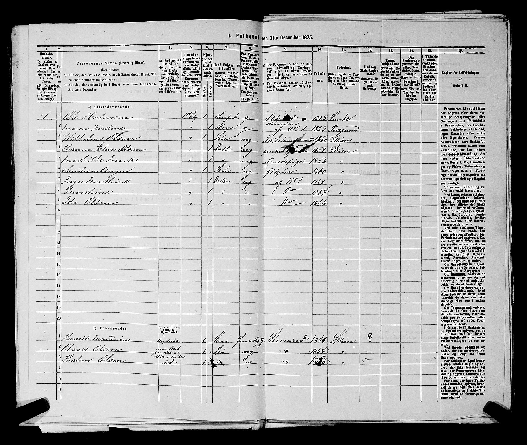 SAKO, 1875 census for 0806P Skien, 1875, p. 1356