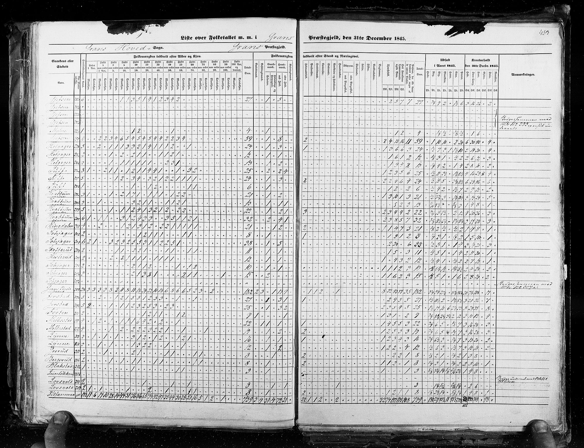 RA, Census 1845, vol. 3: Hedemarken amt og Kristians amt, 1845, p. 453