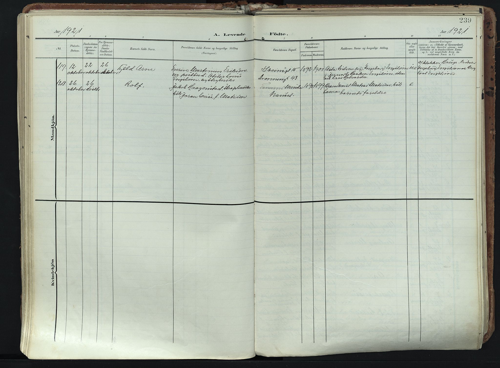 Larvik kirkebøker, AV/SAKO-A-352/F/Fa/L0012: Parish register (official) no. I 12, 1905-1933, p. 239