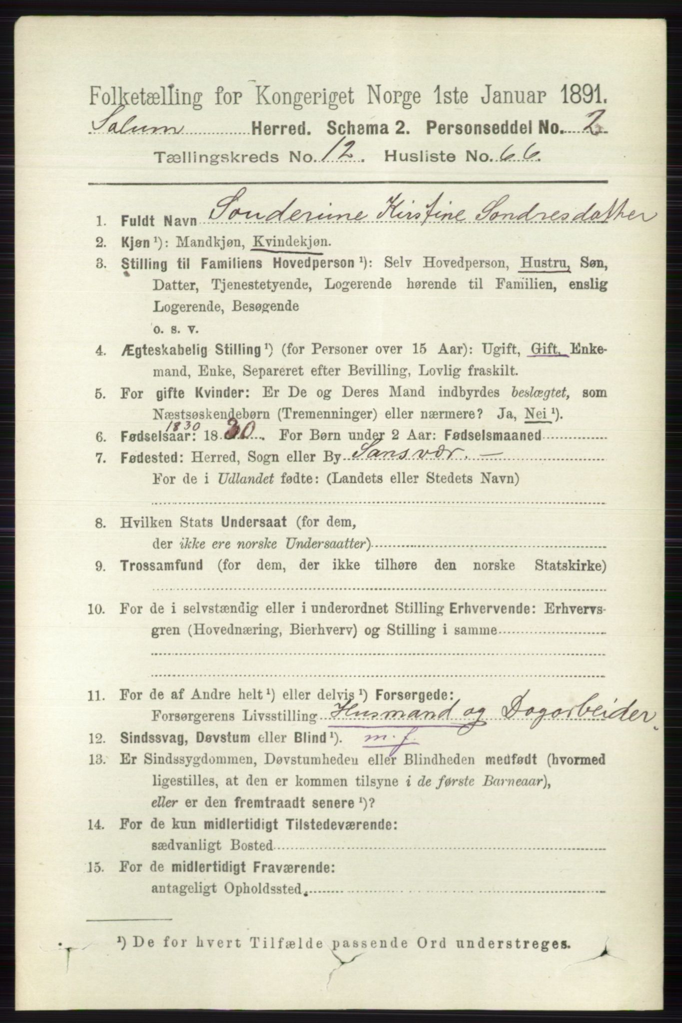 RA, 1891 census for 0818 Solum, 1891, p. 5993