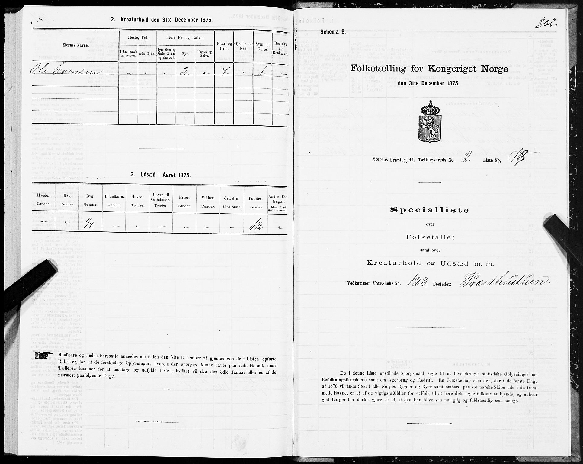 SAT, 1875 census for 1648P Støren, 1875, p. 7302