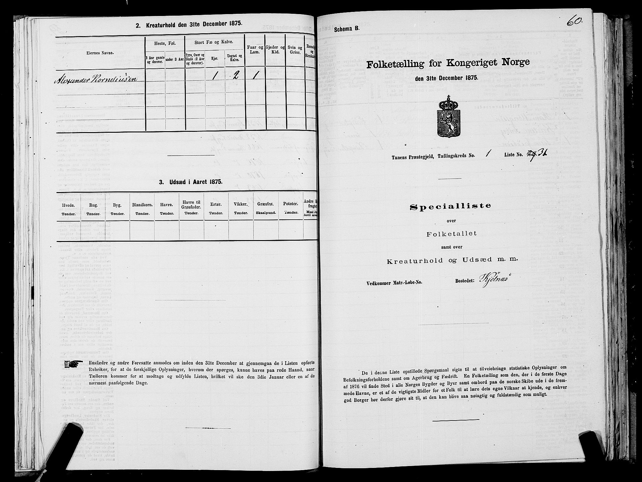 SATØ, 1875 census for 2025P Tana, 1875, p. 1060