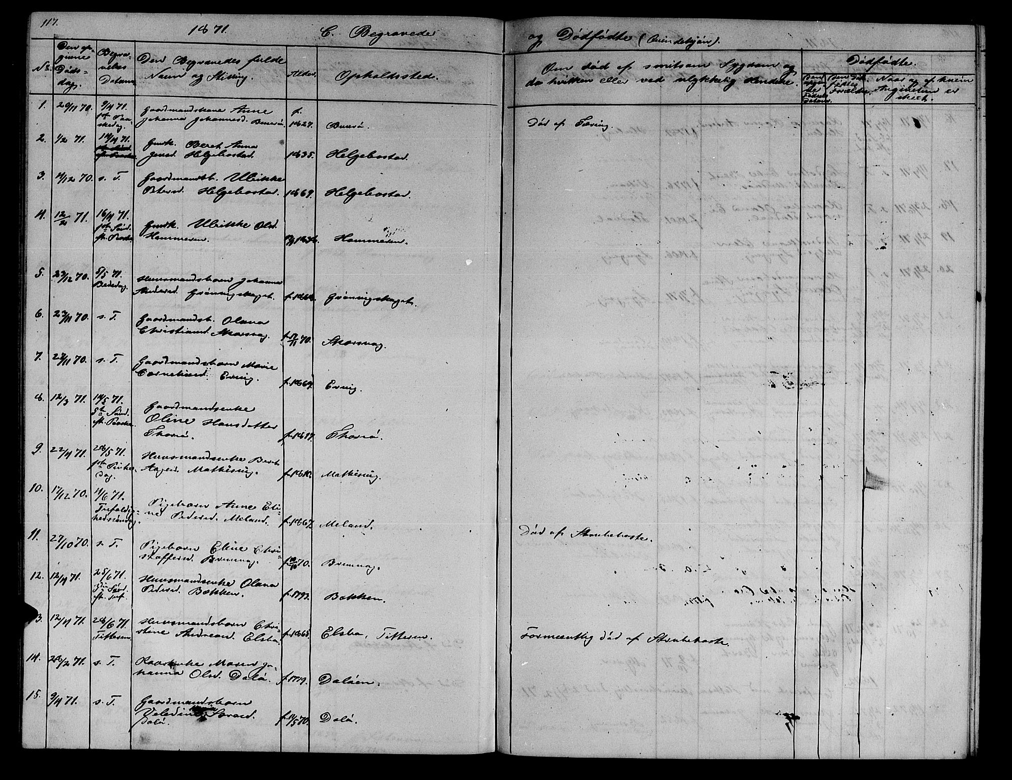 Ministerialprotokoller, klokkerbøker og fødselsregistre - Sør-Trøndelag, SAT/A-1456/634/L0539: Parish register (copy) no. 634C01, 1866-1873, p. 117
