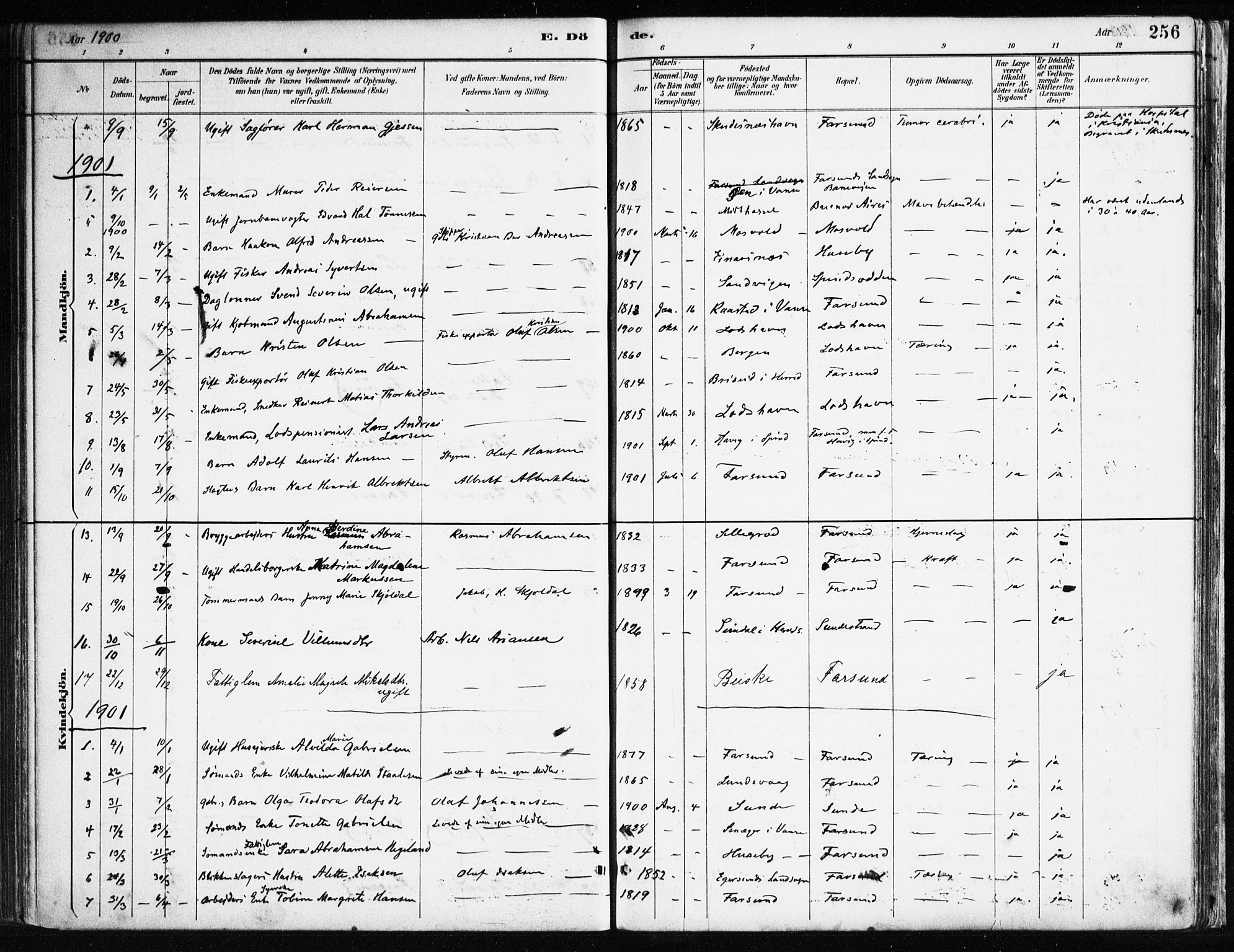 Farsund sokneprestkontor, SAK/1111-0009/F/Fa/L0006: Parish register (official) no. A 6, 1887-1920, p. 256