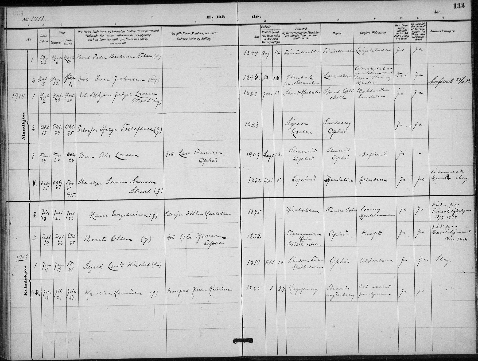 Stor-Elvdal prestekontor, SAH/PREST-052/H/Ha/Hab/L0004: Parish register (copy) no. 4, 1895-1938, p. 133