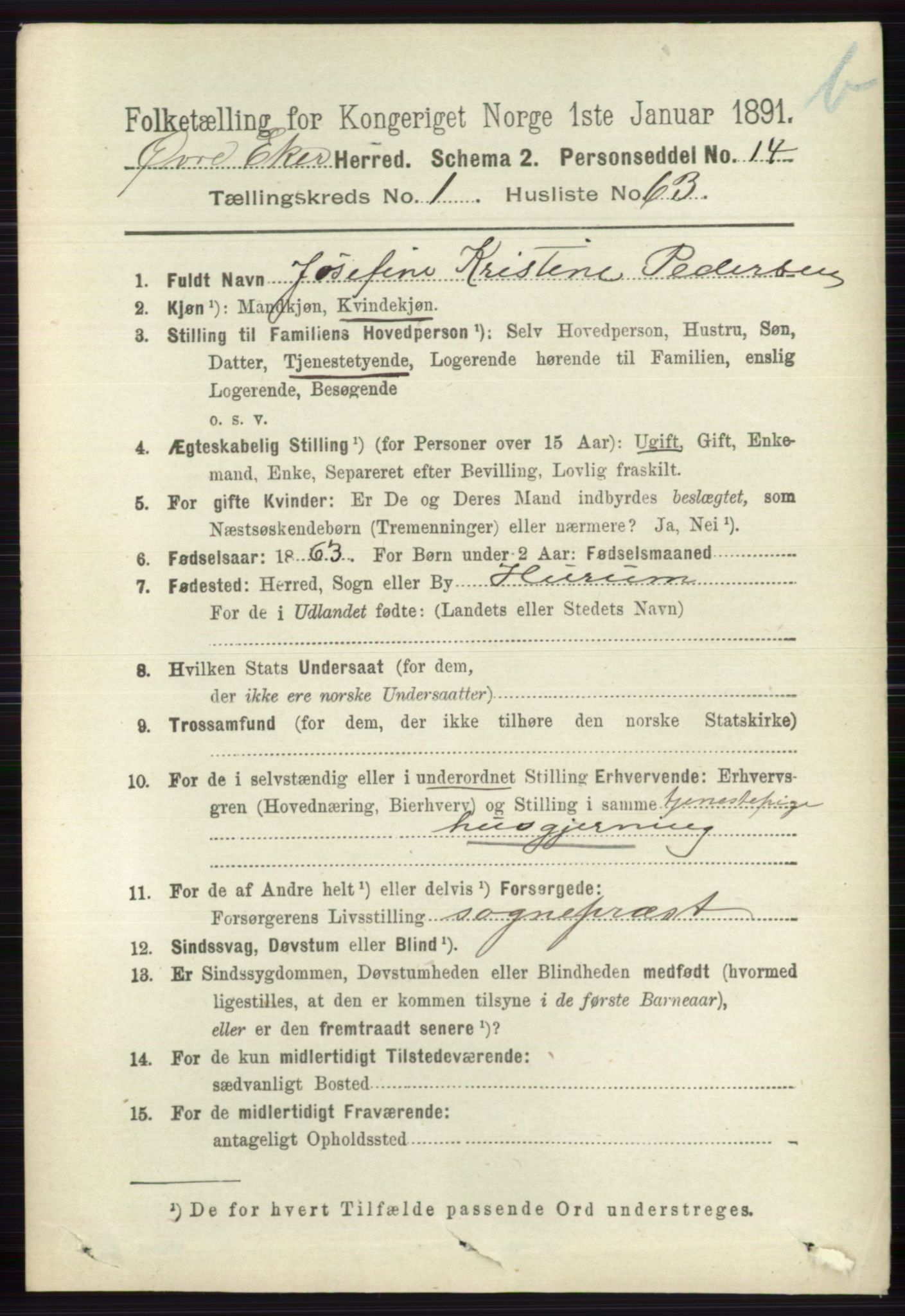 RA, 1891 census for 0624 Øvre Eiker, 1891, p. 8205