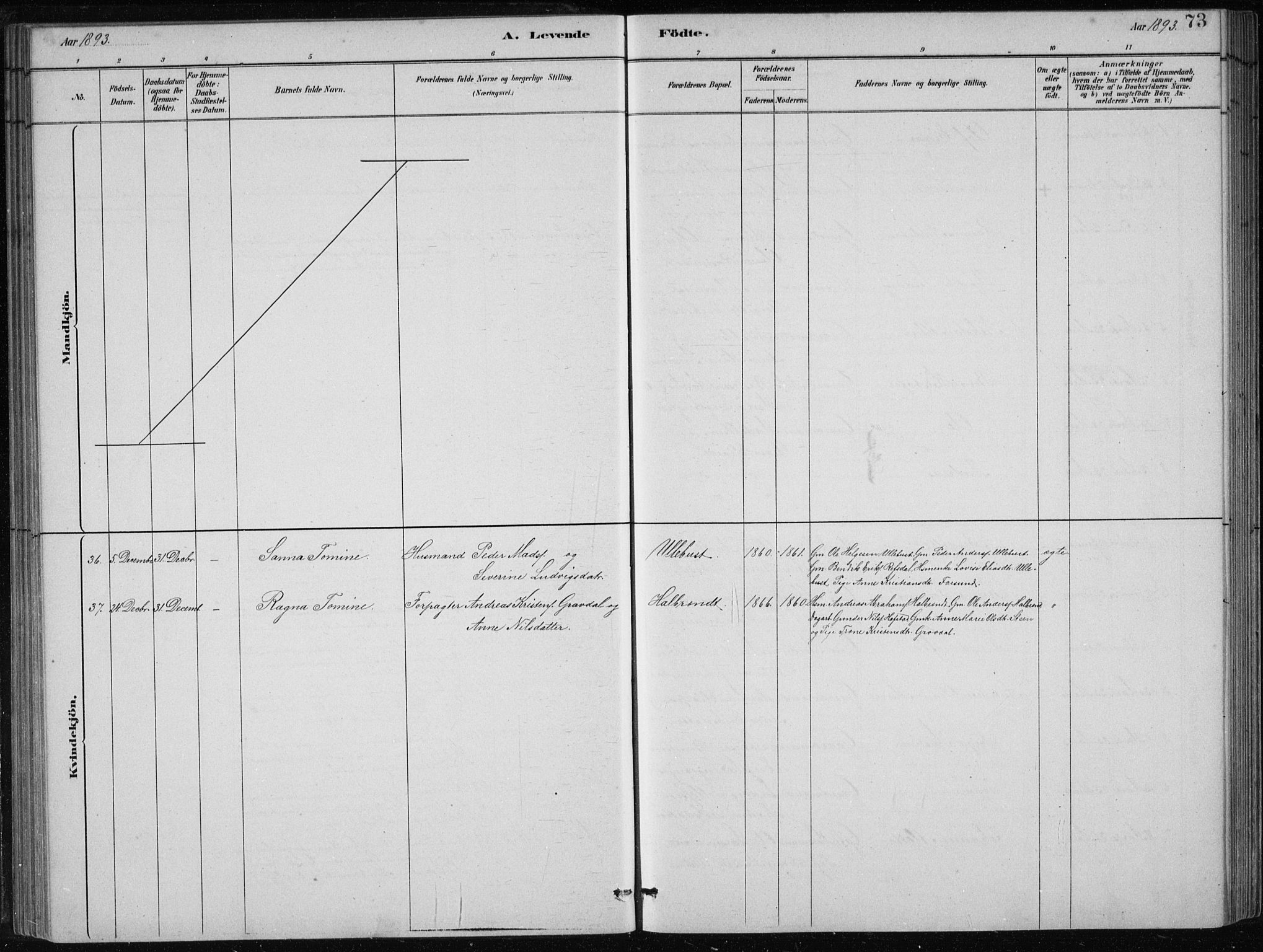 Førde sokneprestembete, AV/SAB-A-79901/H/Hab/Haba/L0002: Parish register (copy) no. A 2, 1881-1898, p. 73