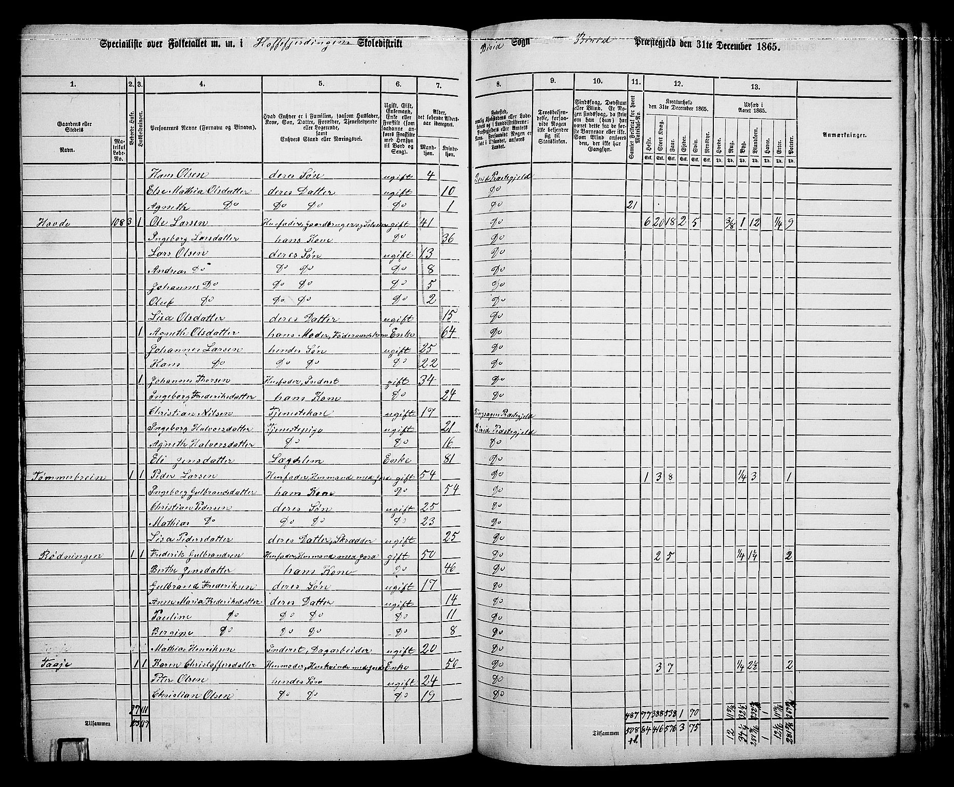 RA, 1865 census for Biri, 1865, p. 106