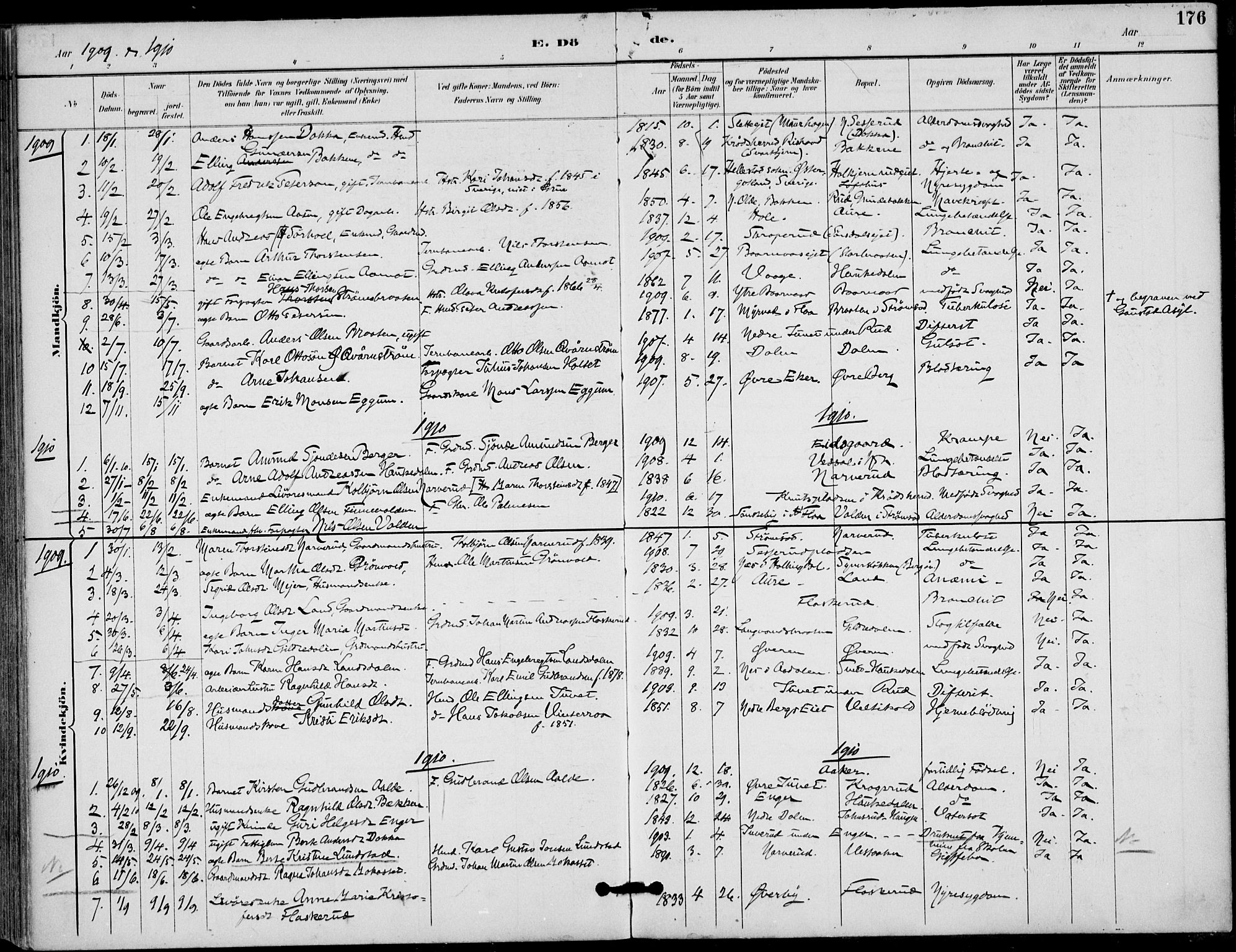 Lunder kirkebøker, SAKO/A-629/F/Fa/L0001: Parish register (official) no. I 1, 1885-1912, p. 176
