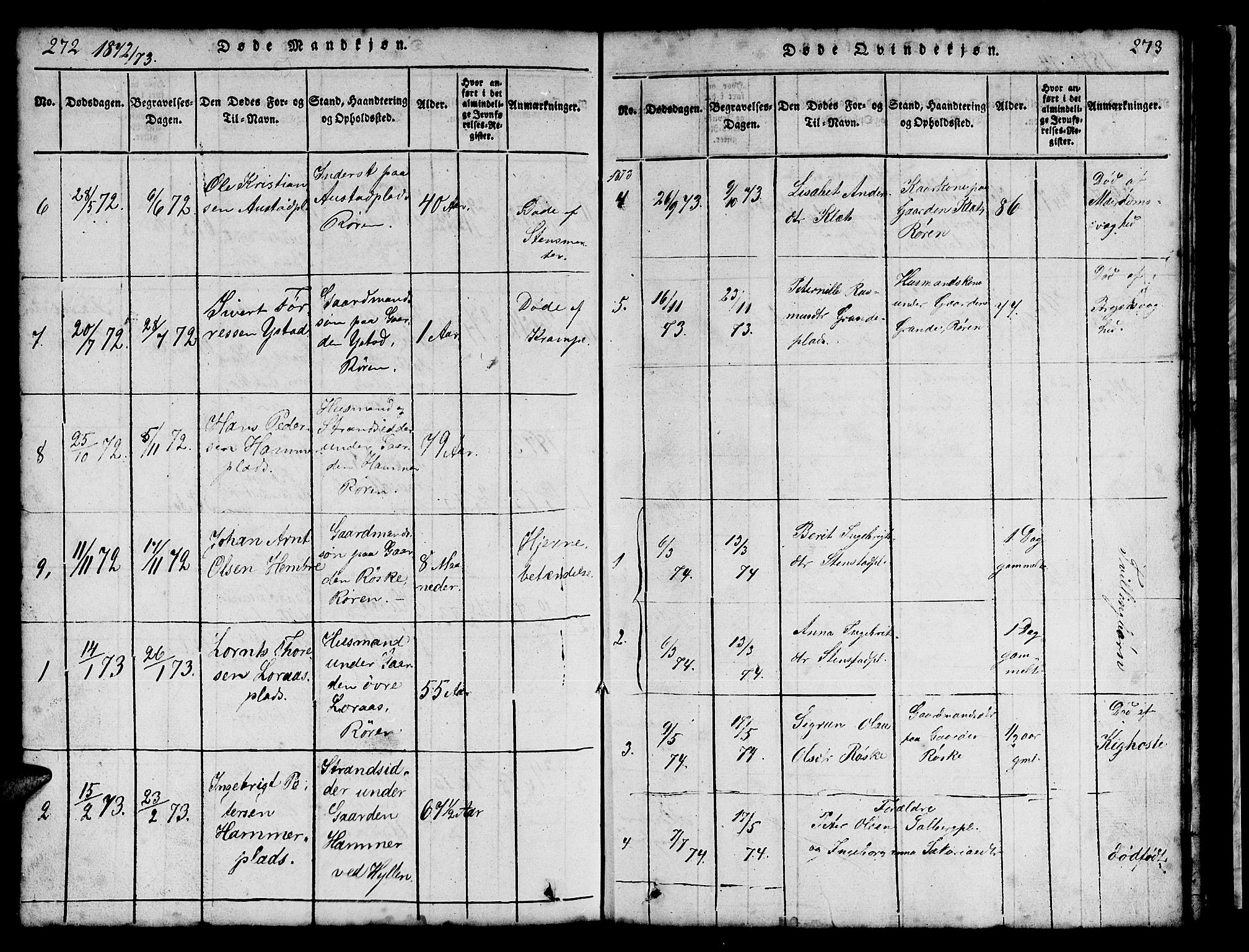 Ministerialprotokoller, klokkerbøker og fødselsregistre - Nord-Trøndelag, SAT/A-1458/731/L0310: Parish register (copy) no. 731C01, 1816-1874, p. 272-273