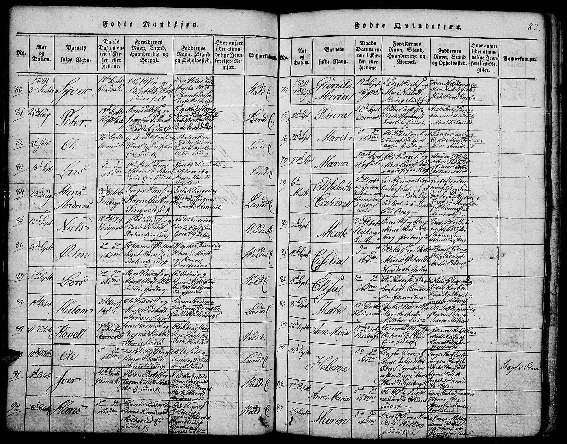 Land prestekontor, AV/SAH-PREST-120/H/Ha/Hab/L0001: Parish register (copy) no. 1, 1814-1833, p. 82