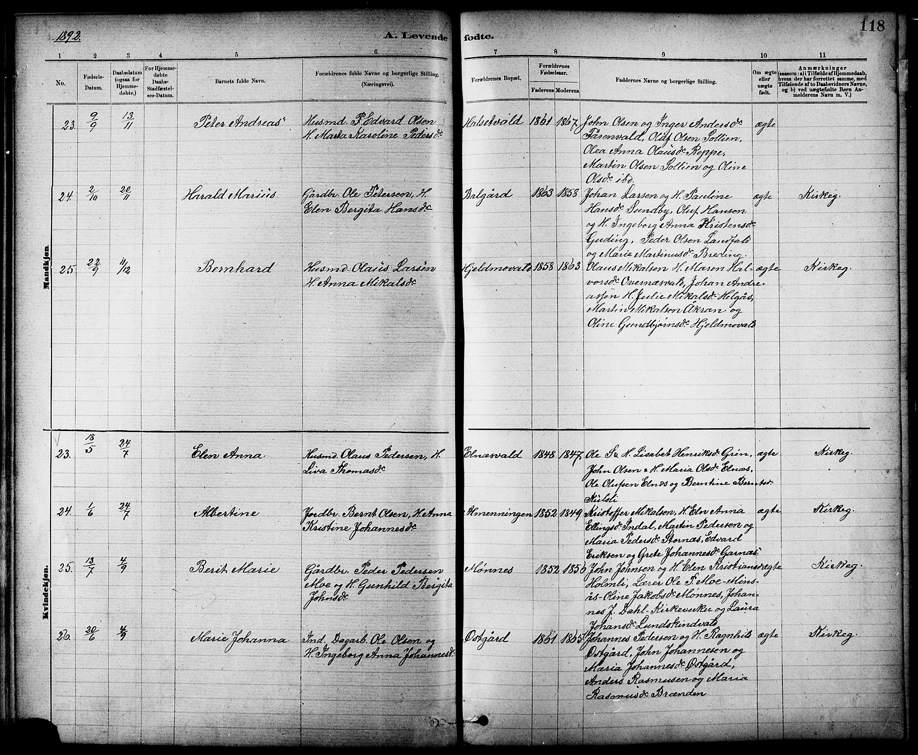 Ministerialprotokoller, klokkerbøker og fødselsregistre - Nord-Trøndelag, SAT/A-1458/724/L0267: Parish register (copy) no. 724C03, 1879-1898, p. 118