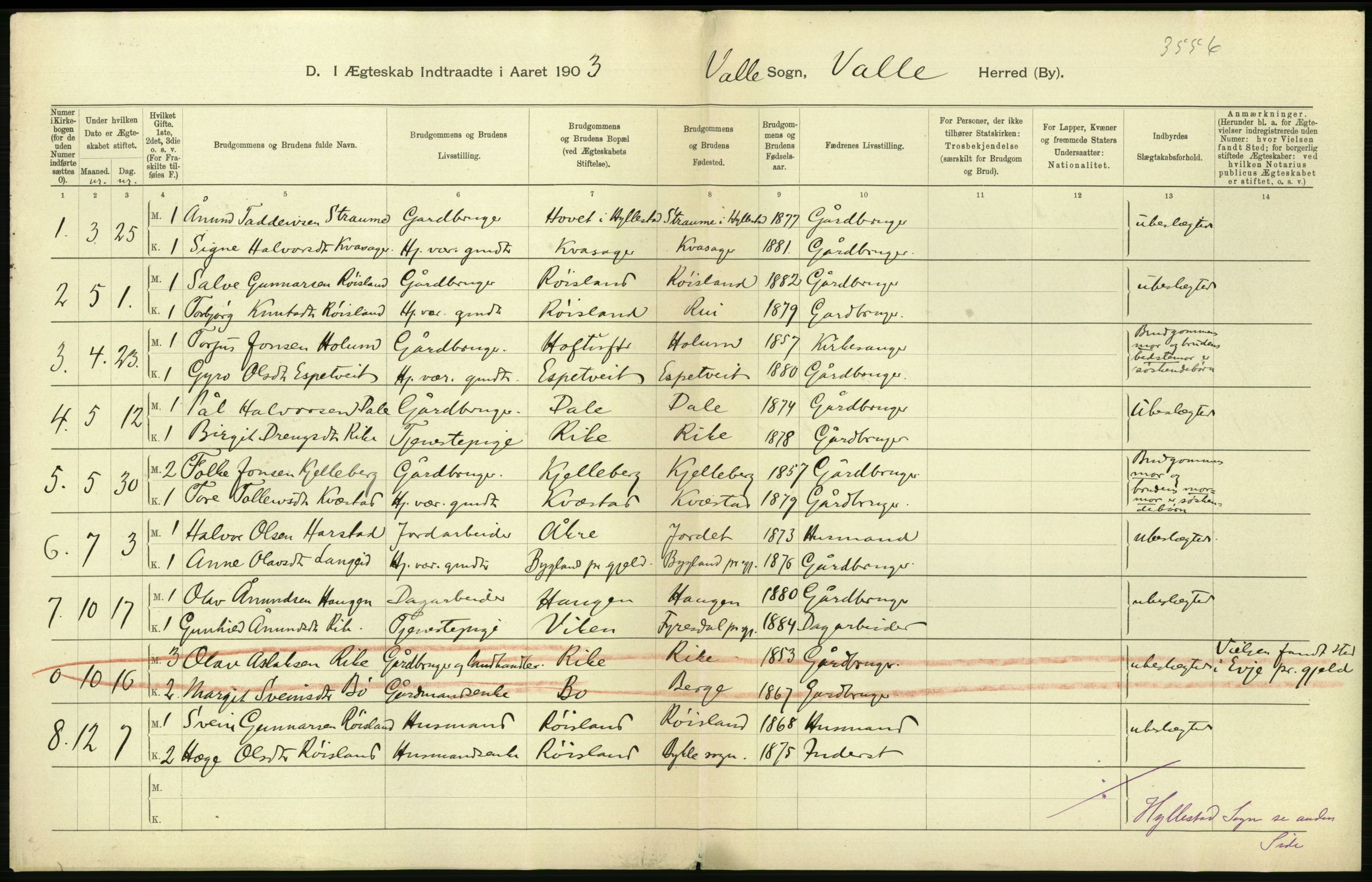 Statistisk sentralbyrå, Sosiodemografiske emner, Befolkning, AV/RA-S-2228/D/Df/Dfa/Dfaa/L0010: Nedenes amt: Fødte, gifte, døde, 1903, p. 262