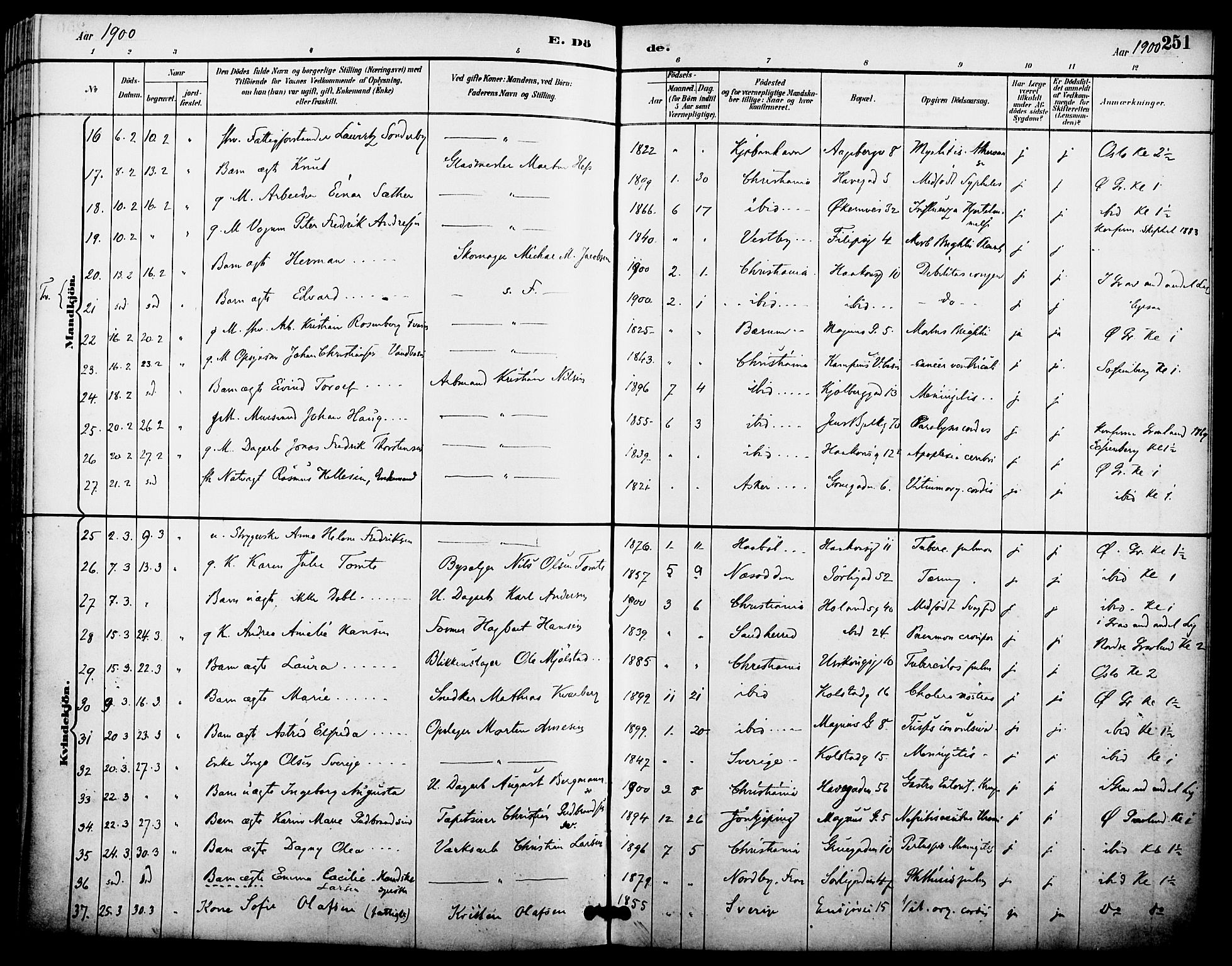 Kampen prestekontor Kirkebøker, SAO/A-10853/F/Fa/L0008: Parish register (official) no. I 8, 1892-1902, p. 251