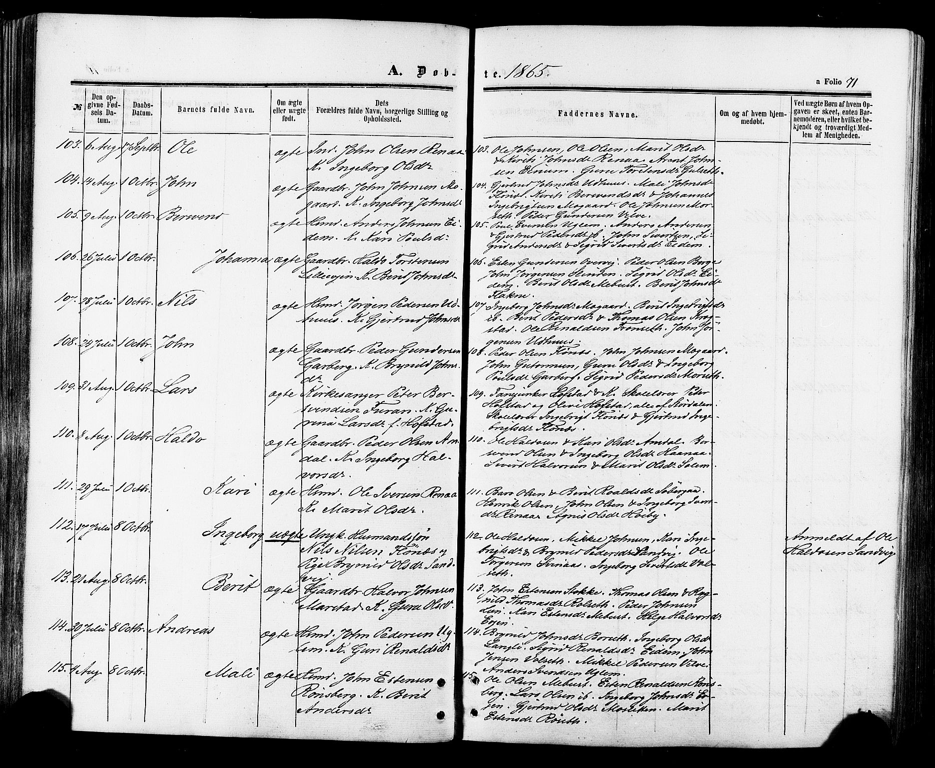 Ministerialprotokoller, klokkerbøker og fødselsregistre - Sør-Trøndelag, SAT/A-1456/695/L1147: Parish register (official) no. 695A07, 1860-1877, p. 71
