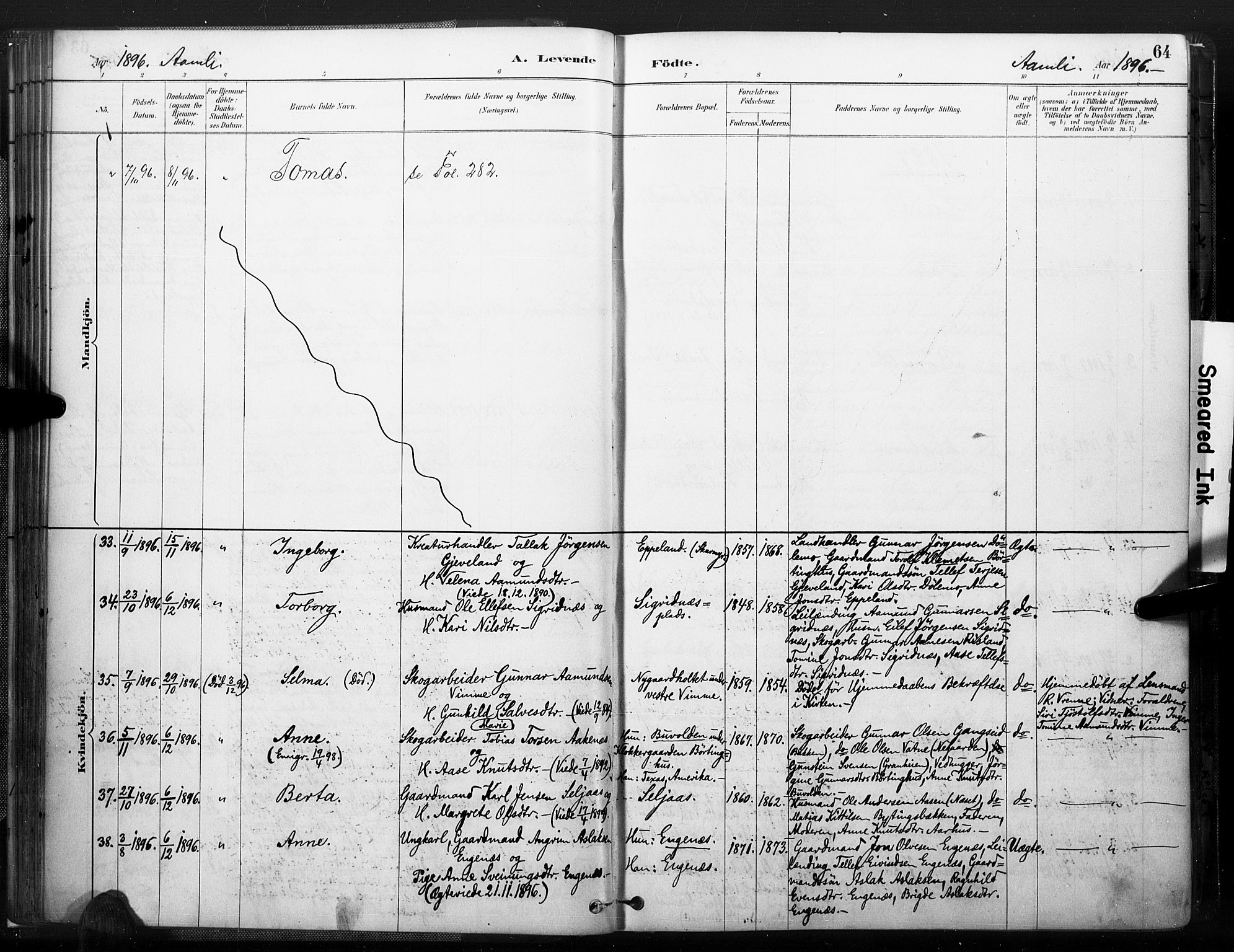 Åmli sokneprestkontor, AV/SAK-1111-0050/F/Fa/Fac/L0010: Parish register (official) no. A 10 /1, 1885-1899, p. 64