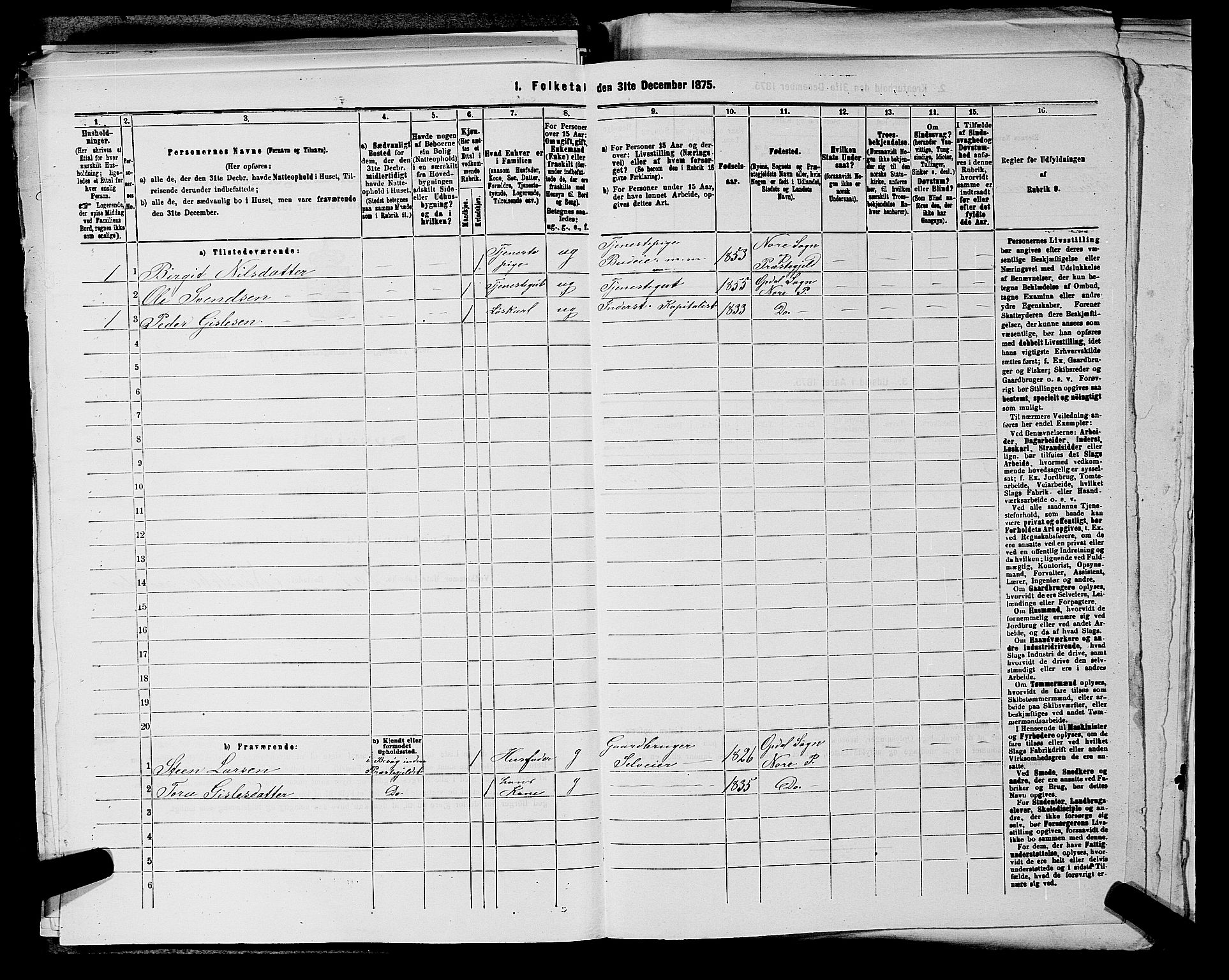 SAKO, 1875 census for 0633P Nore, 1875, p. 329