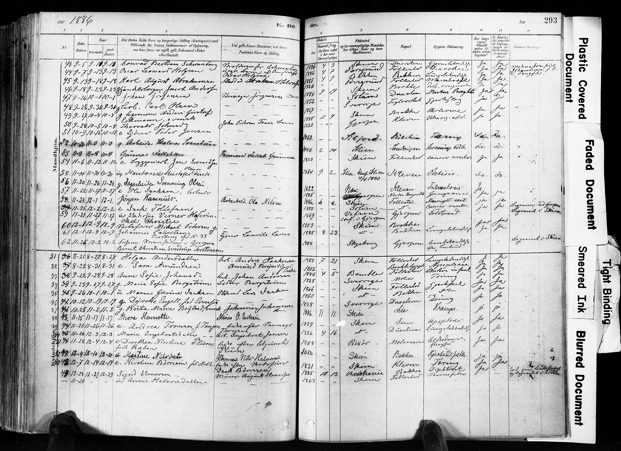Skien kirkebøker, SAKO/A-302/F/Fa/L0009: Parish register (official) no. 9, 1878-1890, p. 293