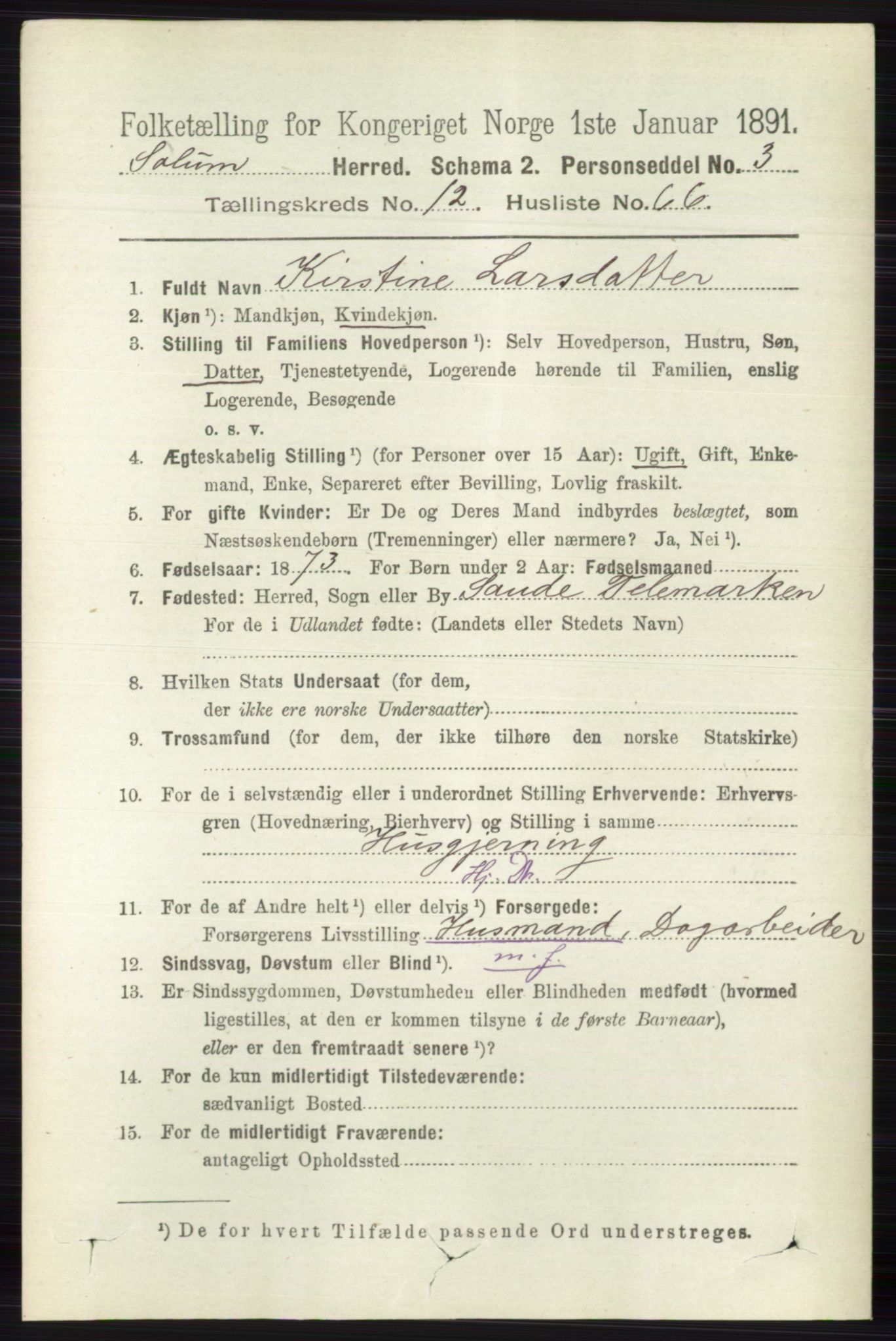 RA, 1891 census for 0818 Solum, 1891, p. 5992