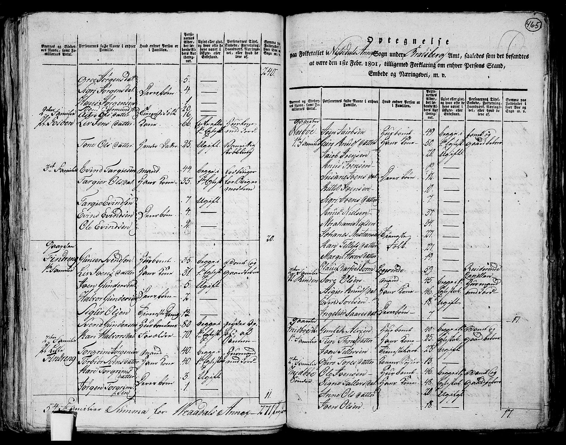 RA, 1801 census for 0829P Kviteseid, 1801, p. 464b-465a