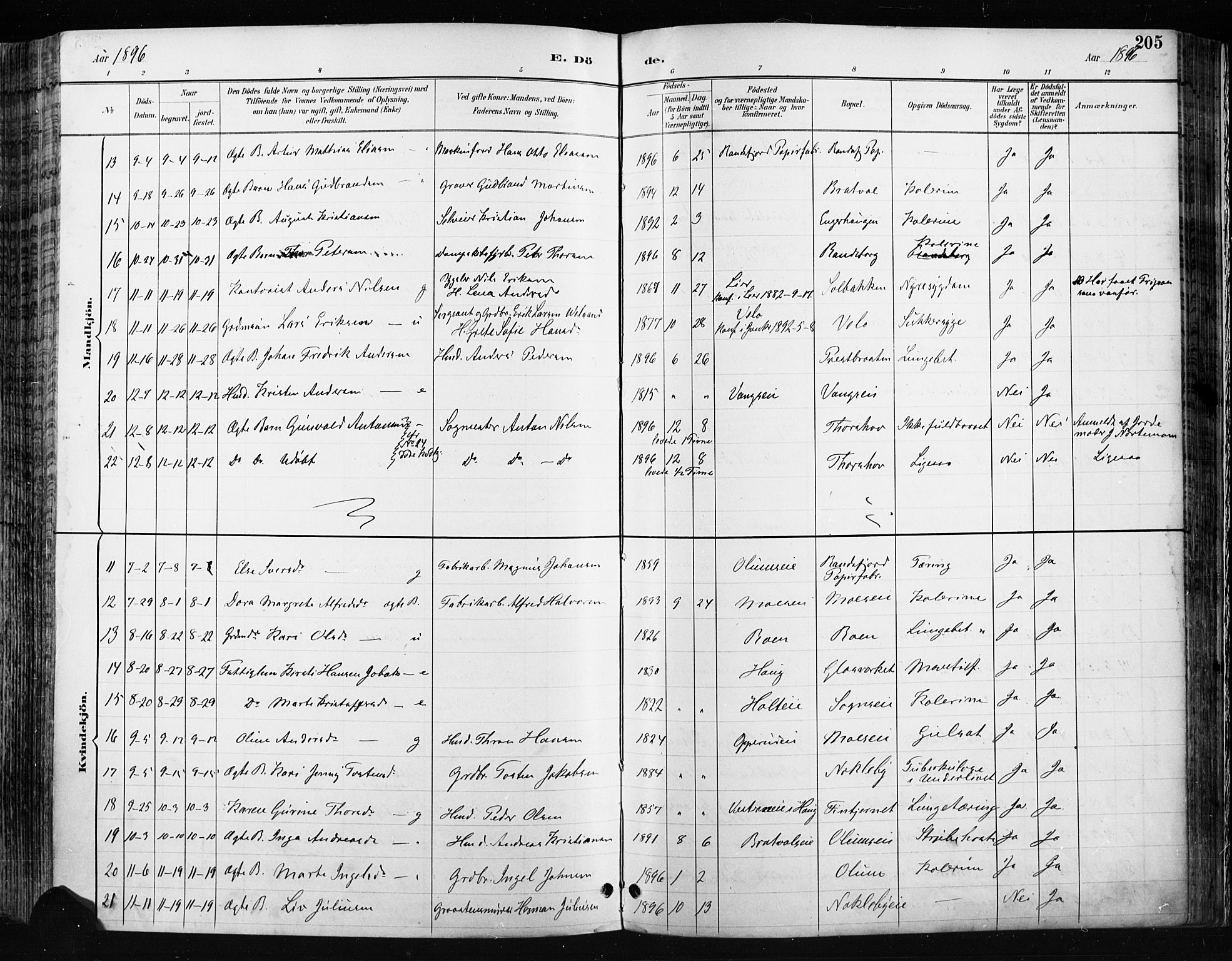 Jevnaker prestekontor, SAH/PREST-116/H/Ha/Haa/L0009: Parish register (official) no. 9, 1891-1901, p. 205