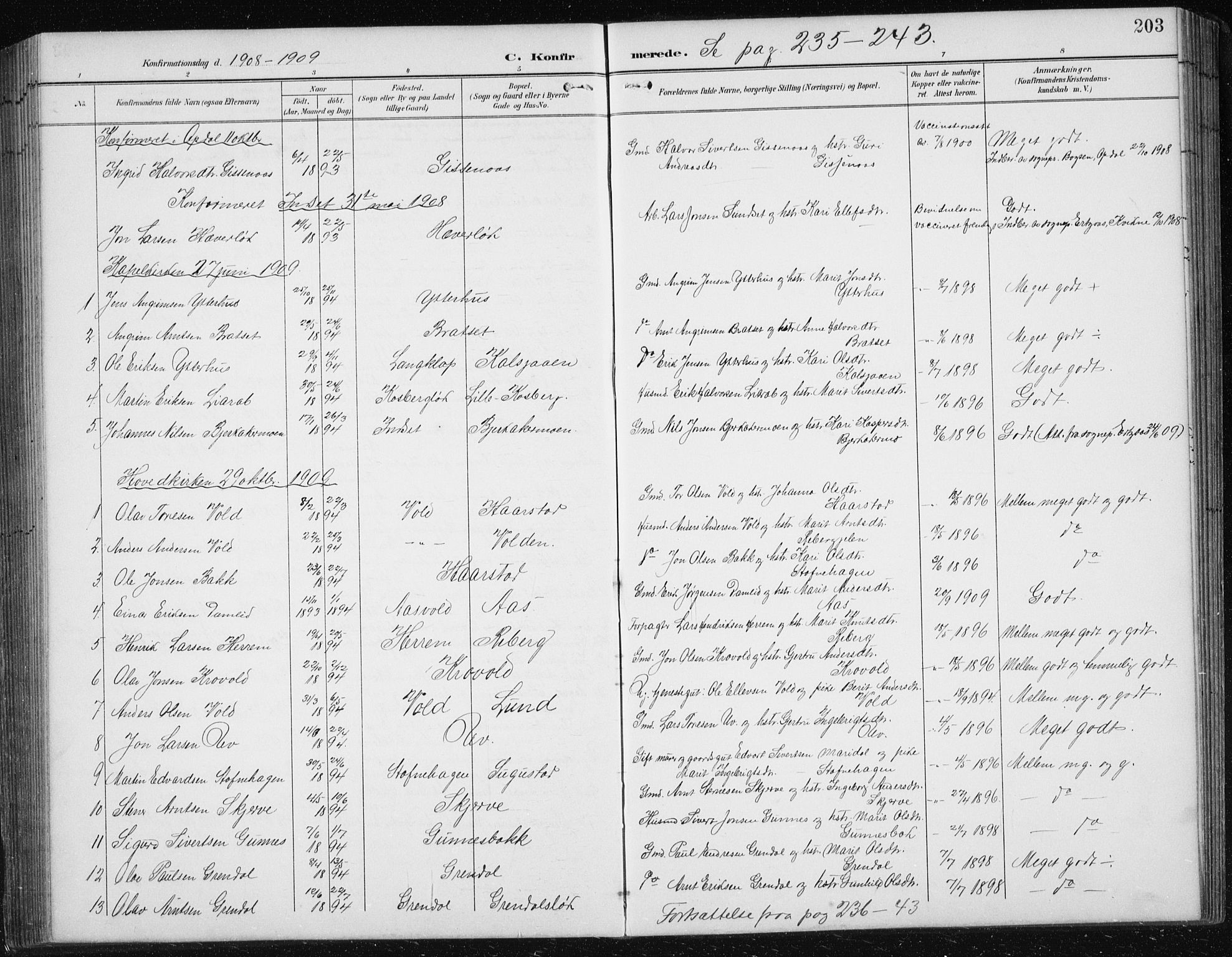Ministerialprotokoller, klokkerbøker og fødselsregistre - Sør-Trøndelag, SAT/A-1456/674/L0876: Parish register (copy) no. 674C03, 1892-1912, p. 203